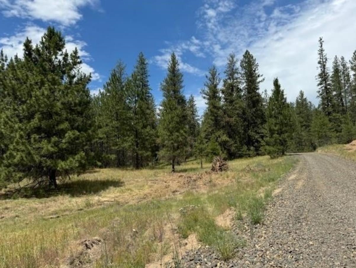58xx Lot 2 Lower Weaver Way - Photo 9