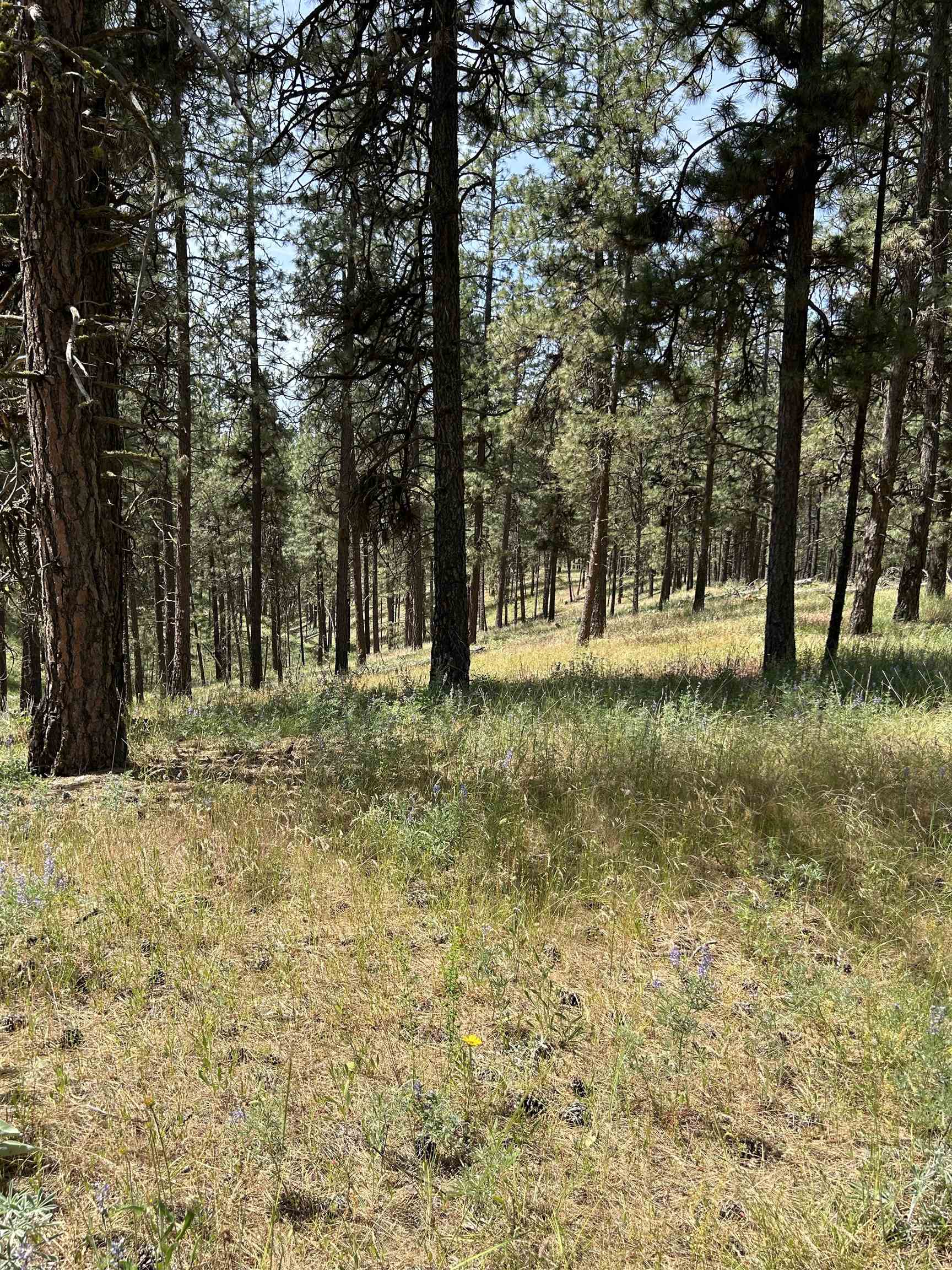 58xx Lot 2 Lower Weaver Way - Photo 10
