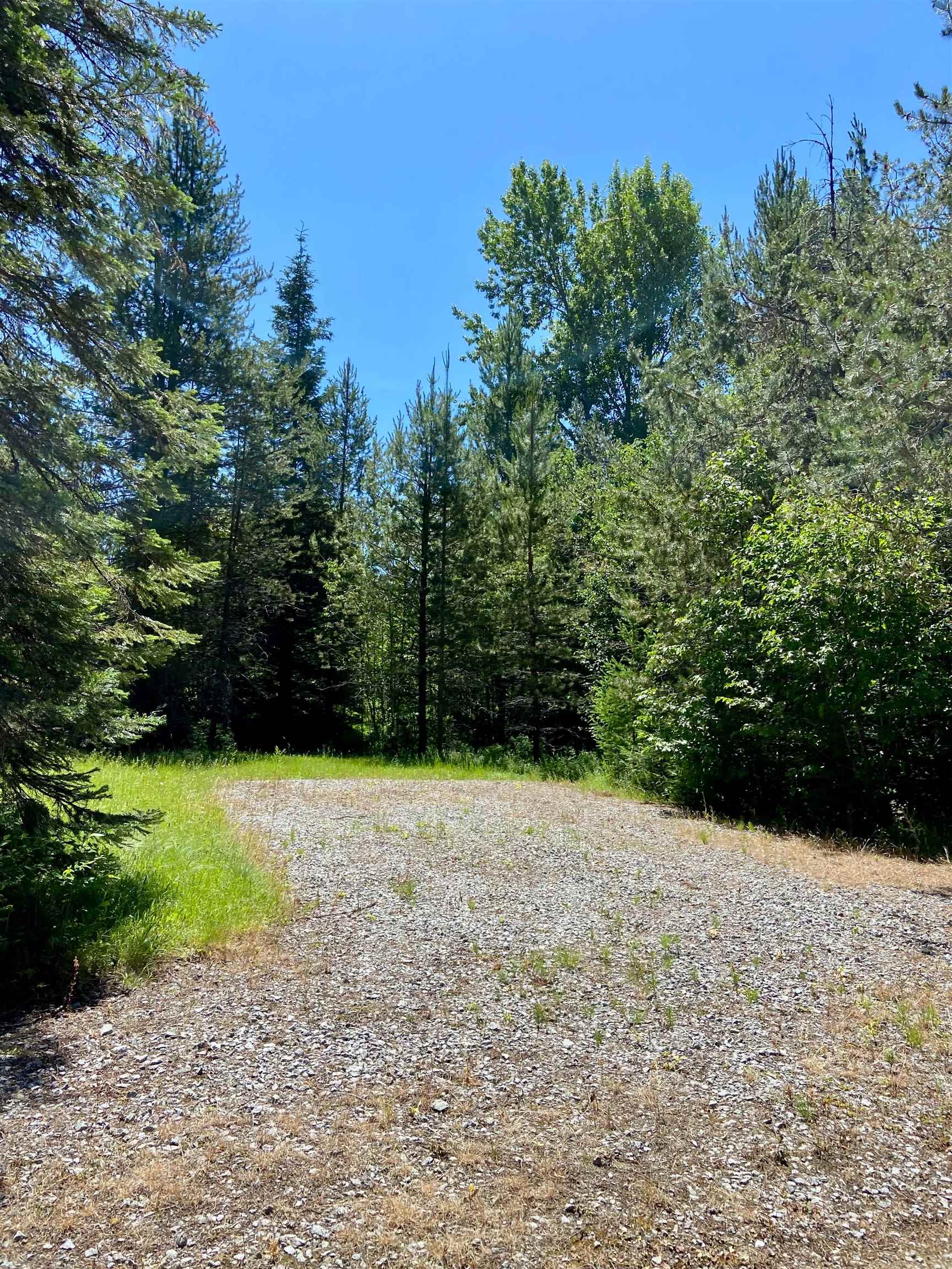 281 Willys Way - Photo 34