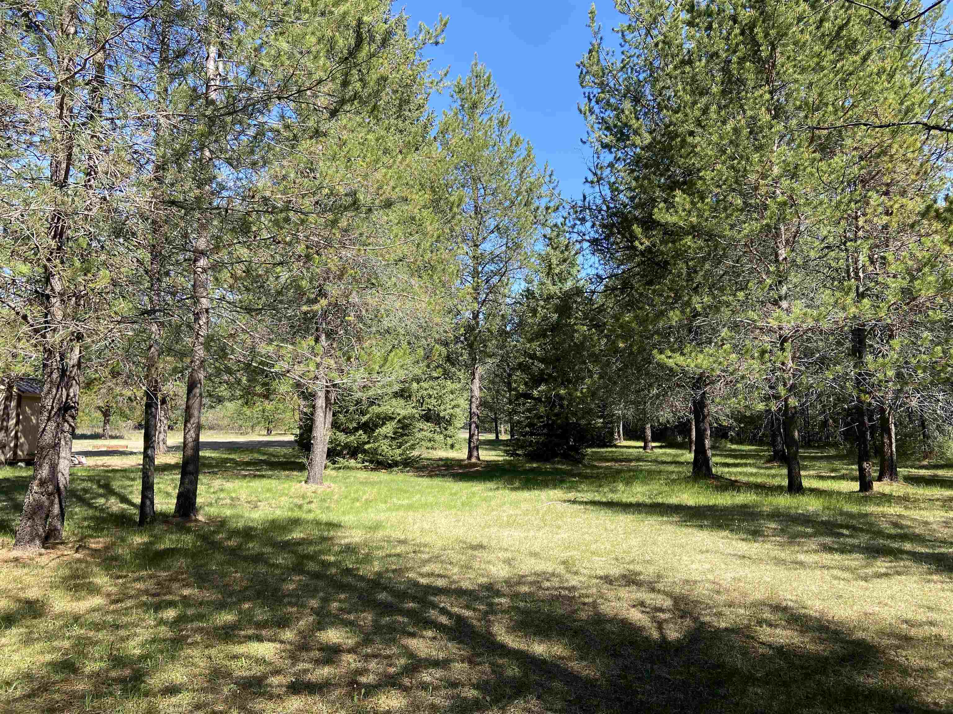 281 Willys Way - Photo 40