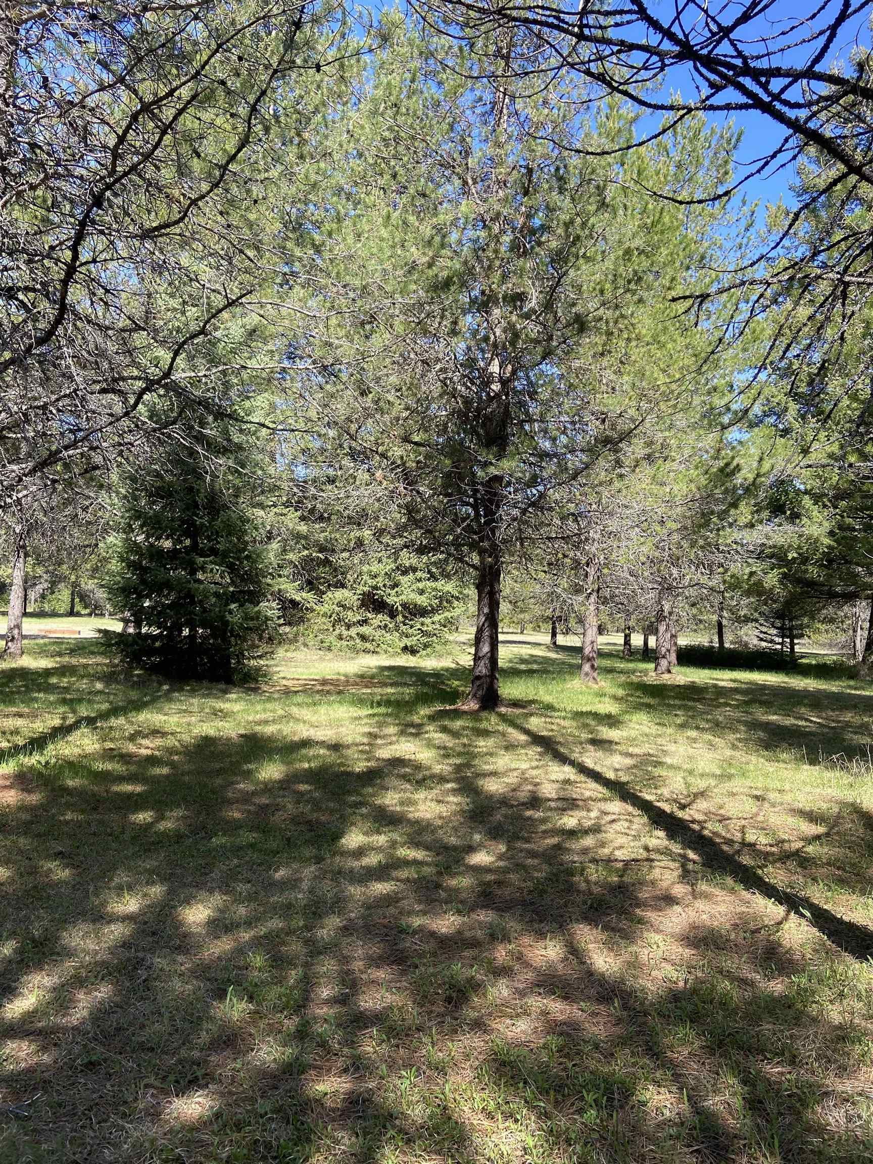 281 Willys Way - Photo 41
