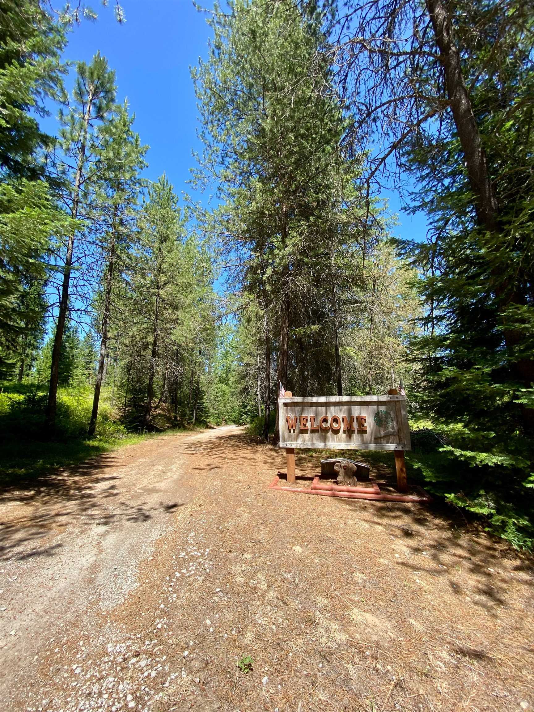 281 Willys Way - Photo 42