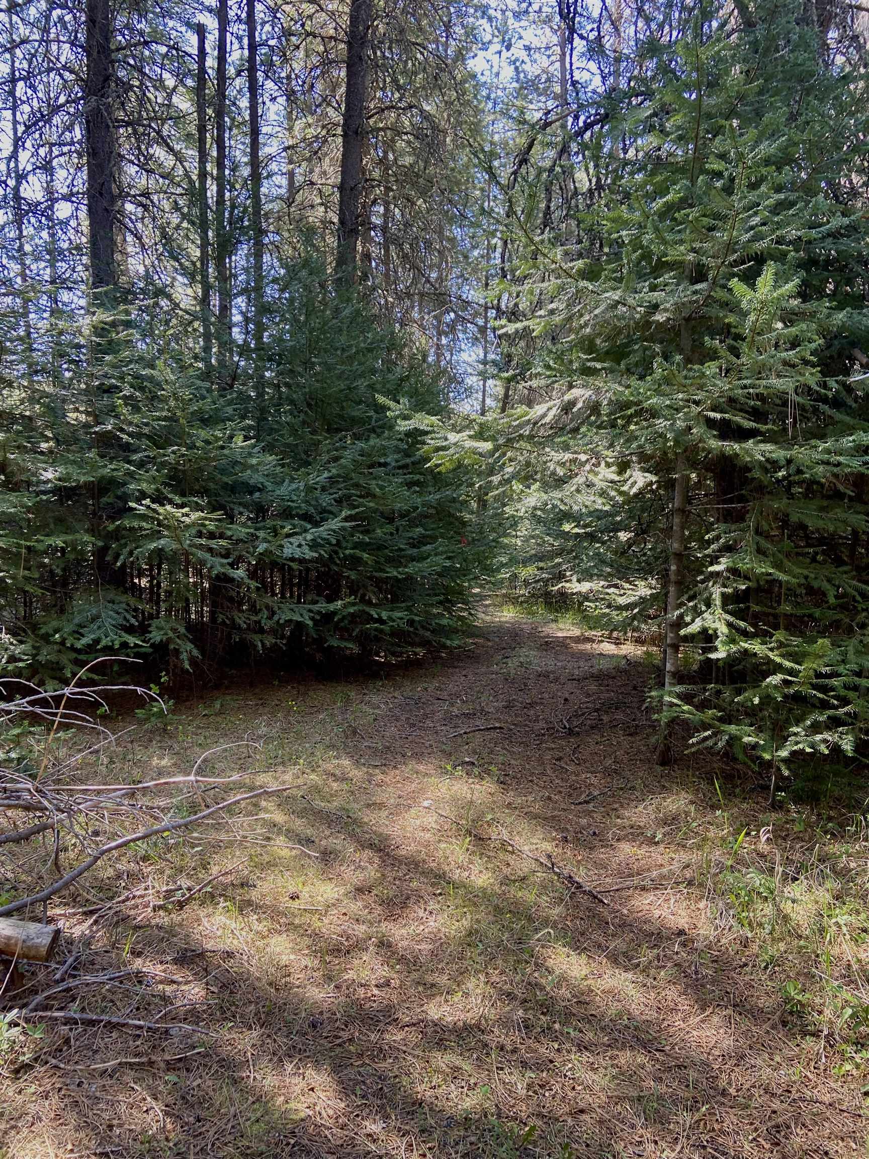 281 Willys Way - Photo 44