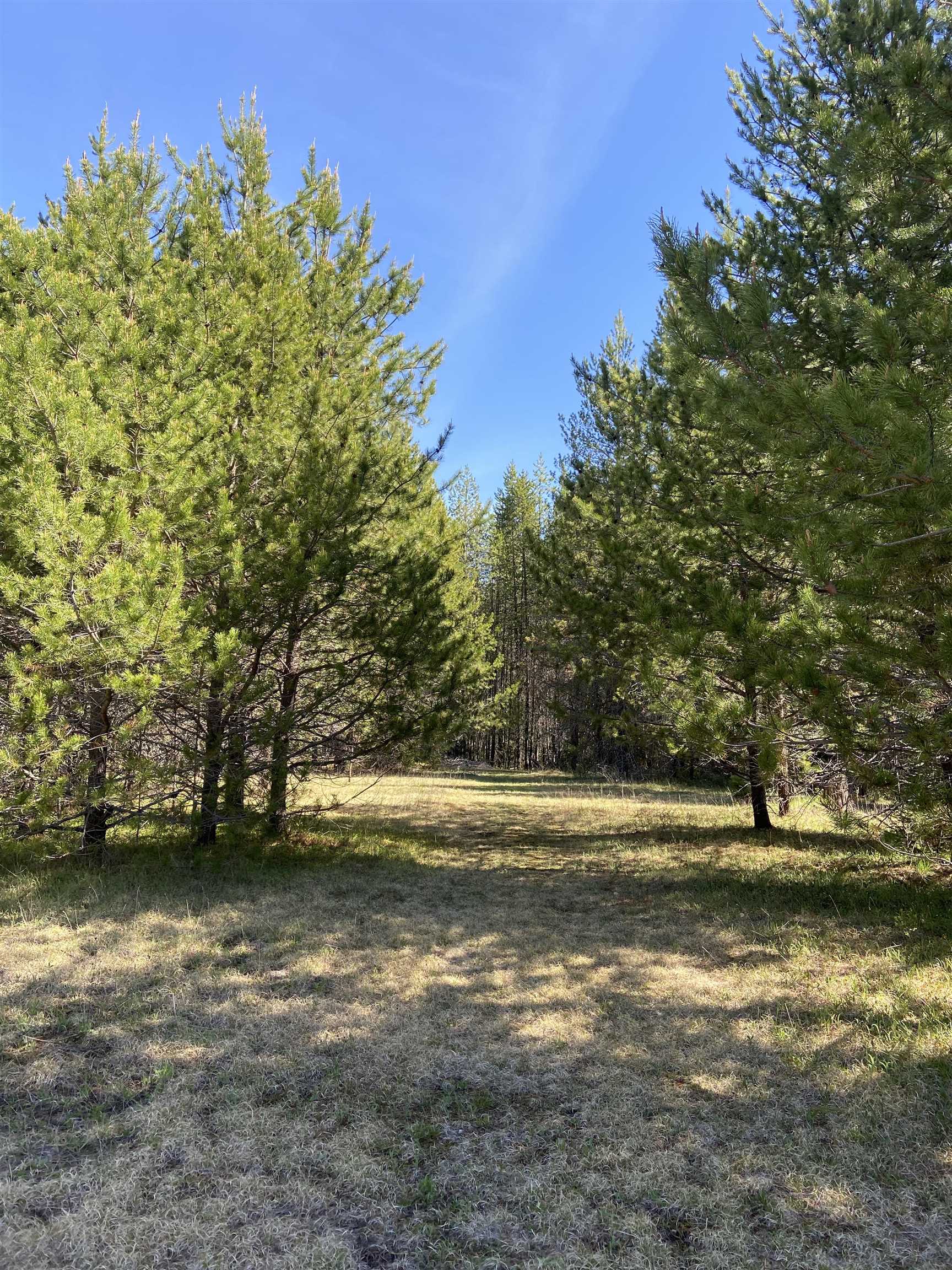 281 Willys Way - Photo 47