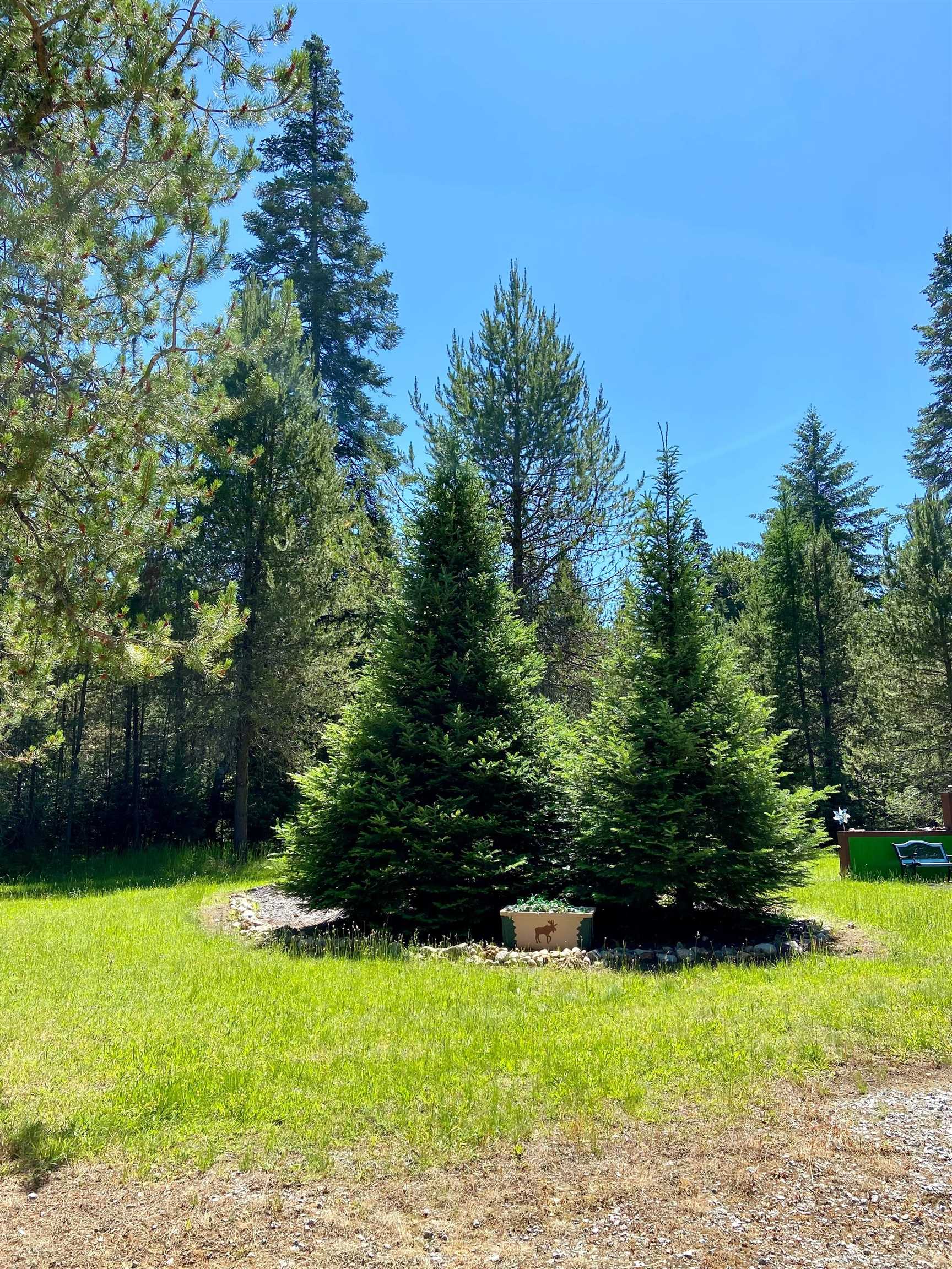 281 Willys Way - Photo 10