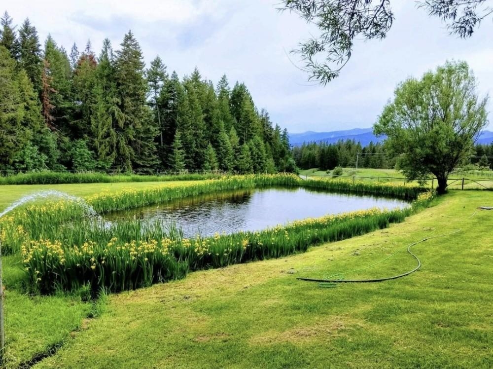 2551 Flowery Trail Rd - Photo 2