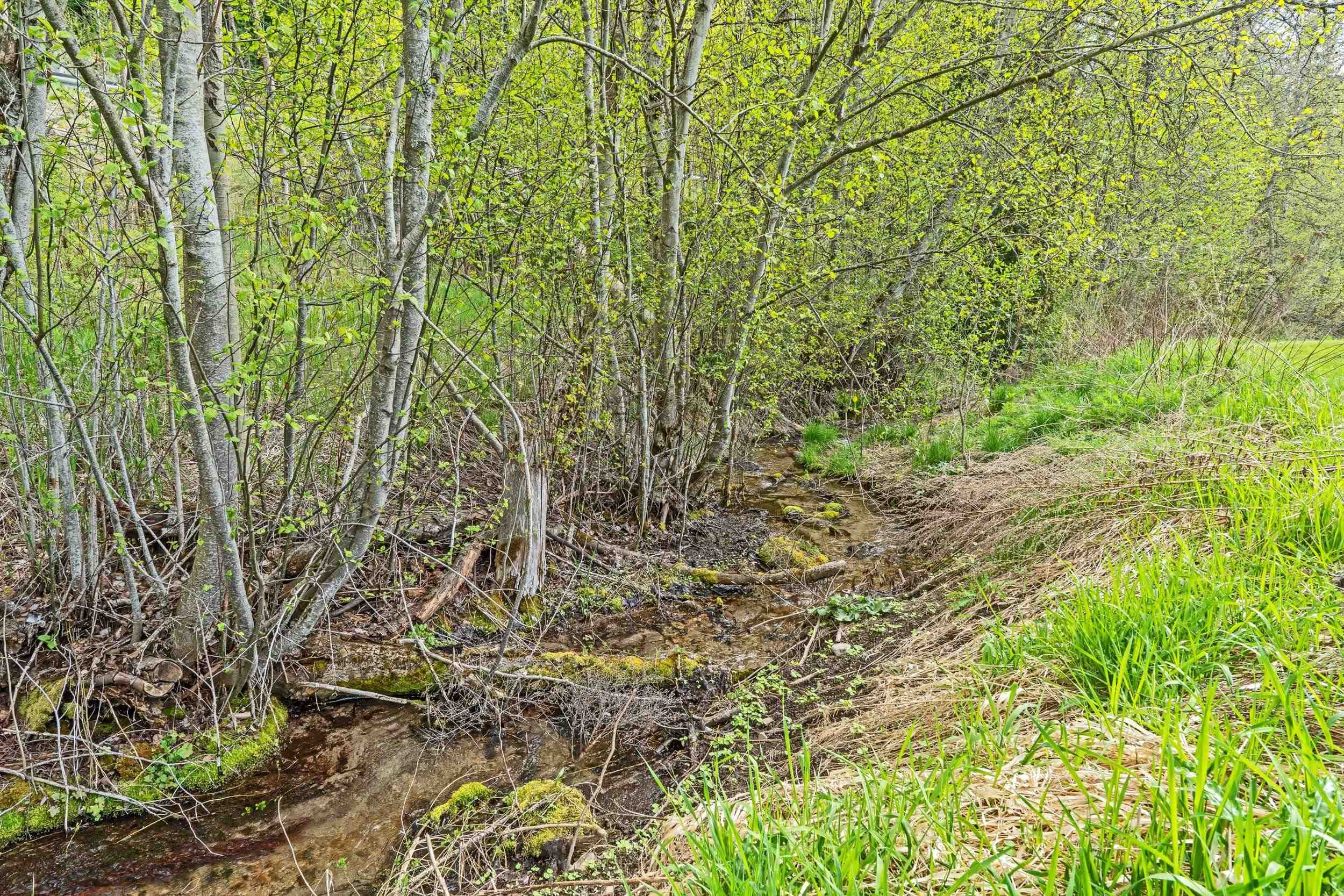 2551 Flowery Trail Rd - Photo 3