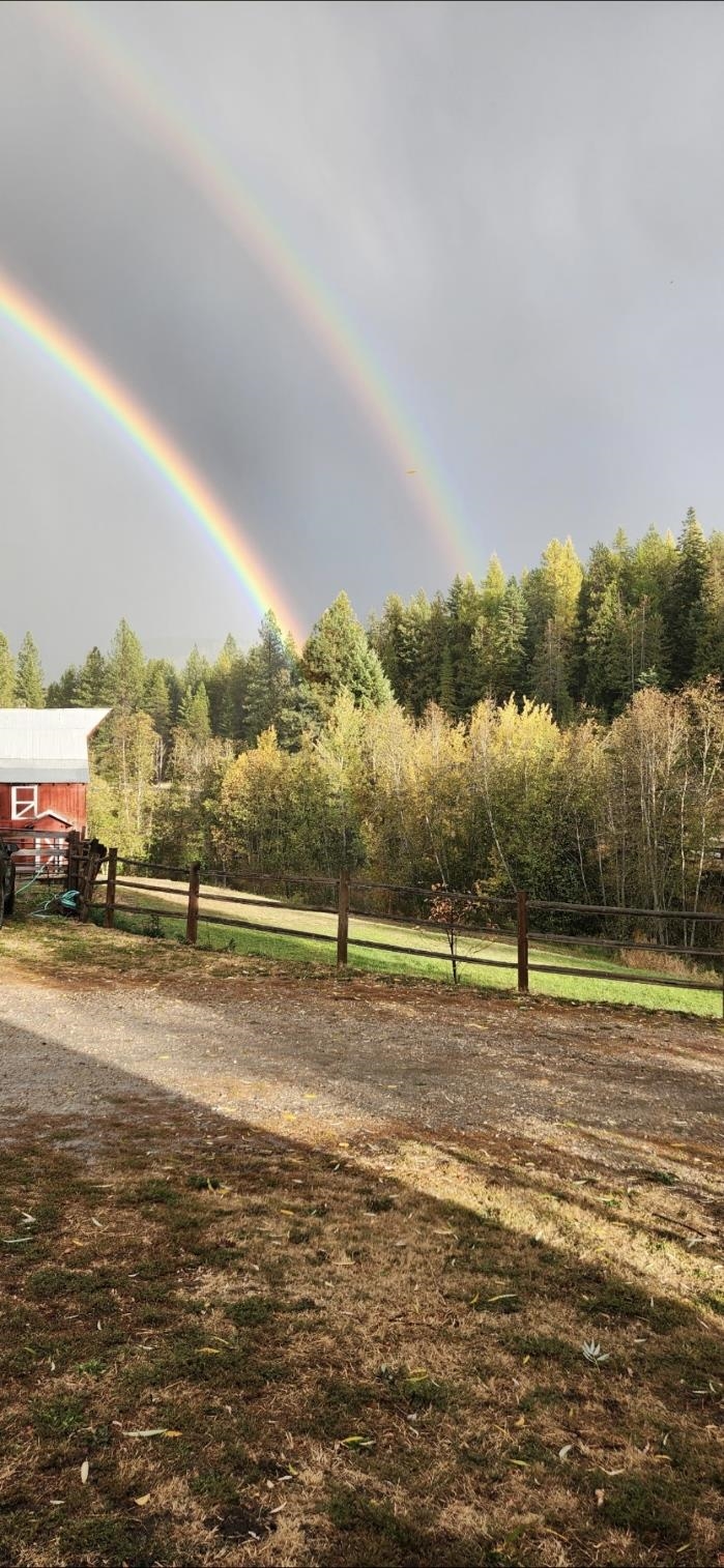 2551 Flowery Trail Rd - Photo 36