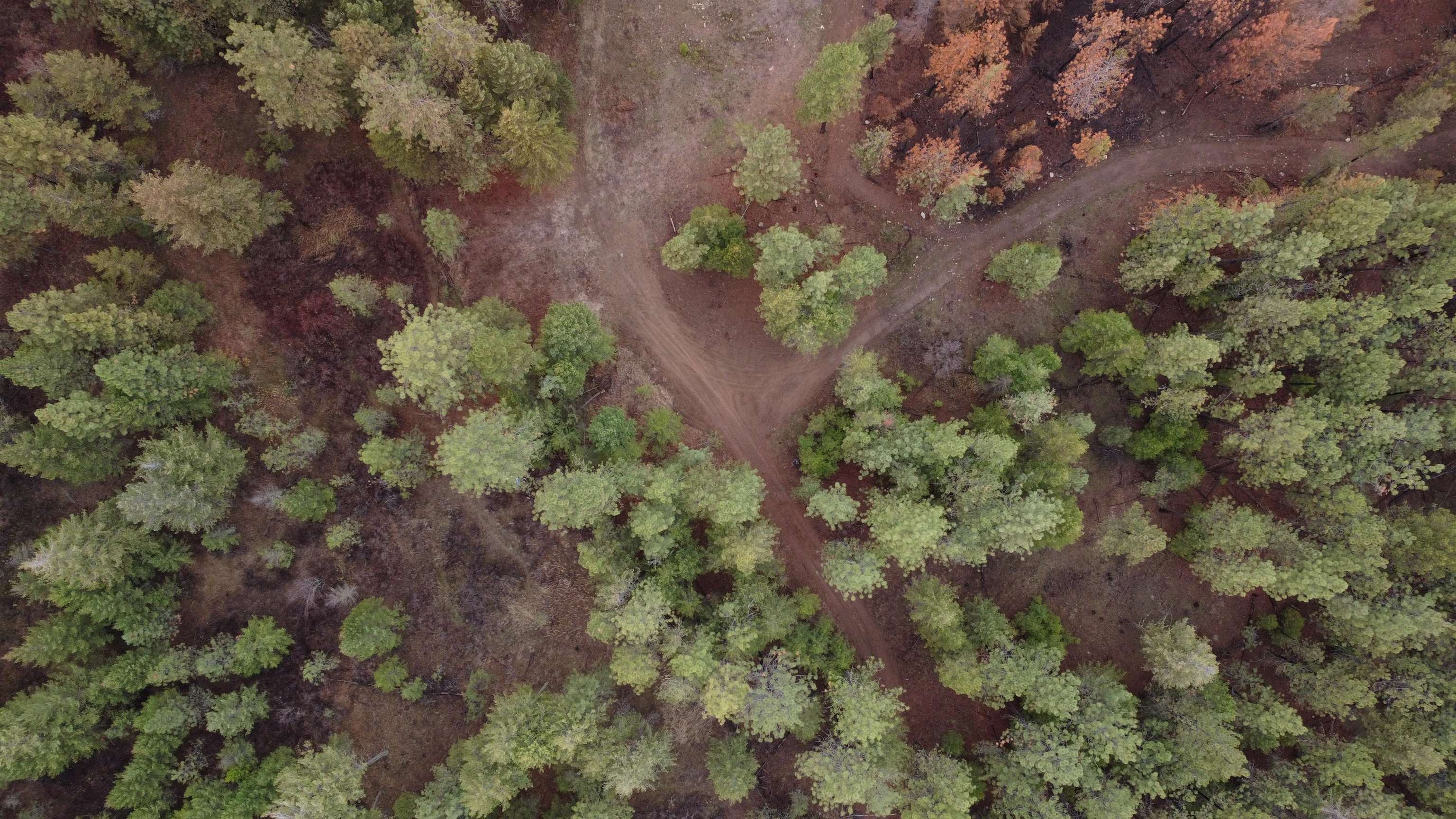 Xxx Coyote Ridge Ln - Photo 3