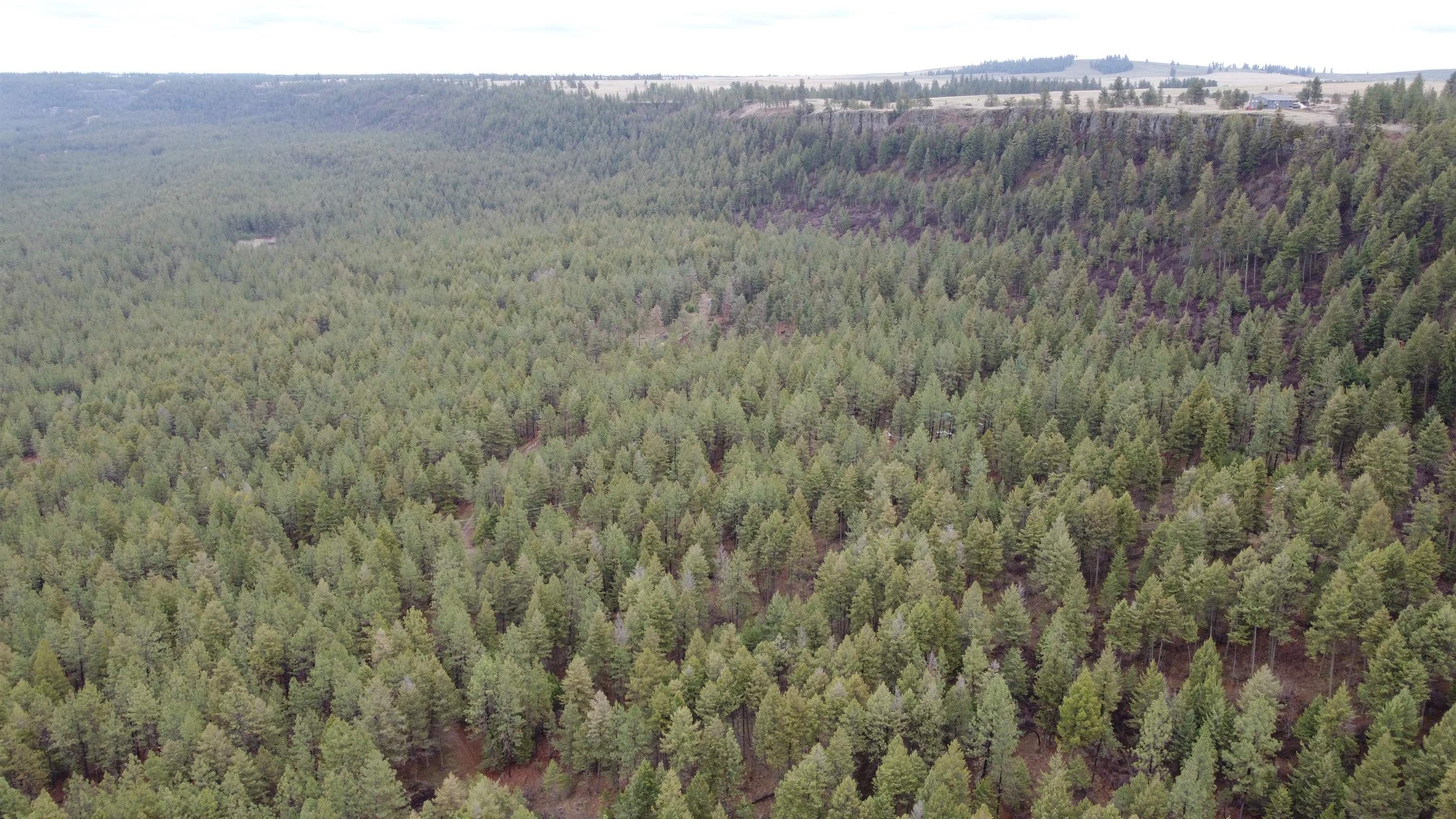 Xxx Coyote Ridge Ln - Photo 4