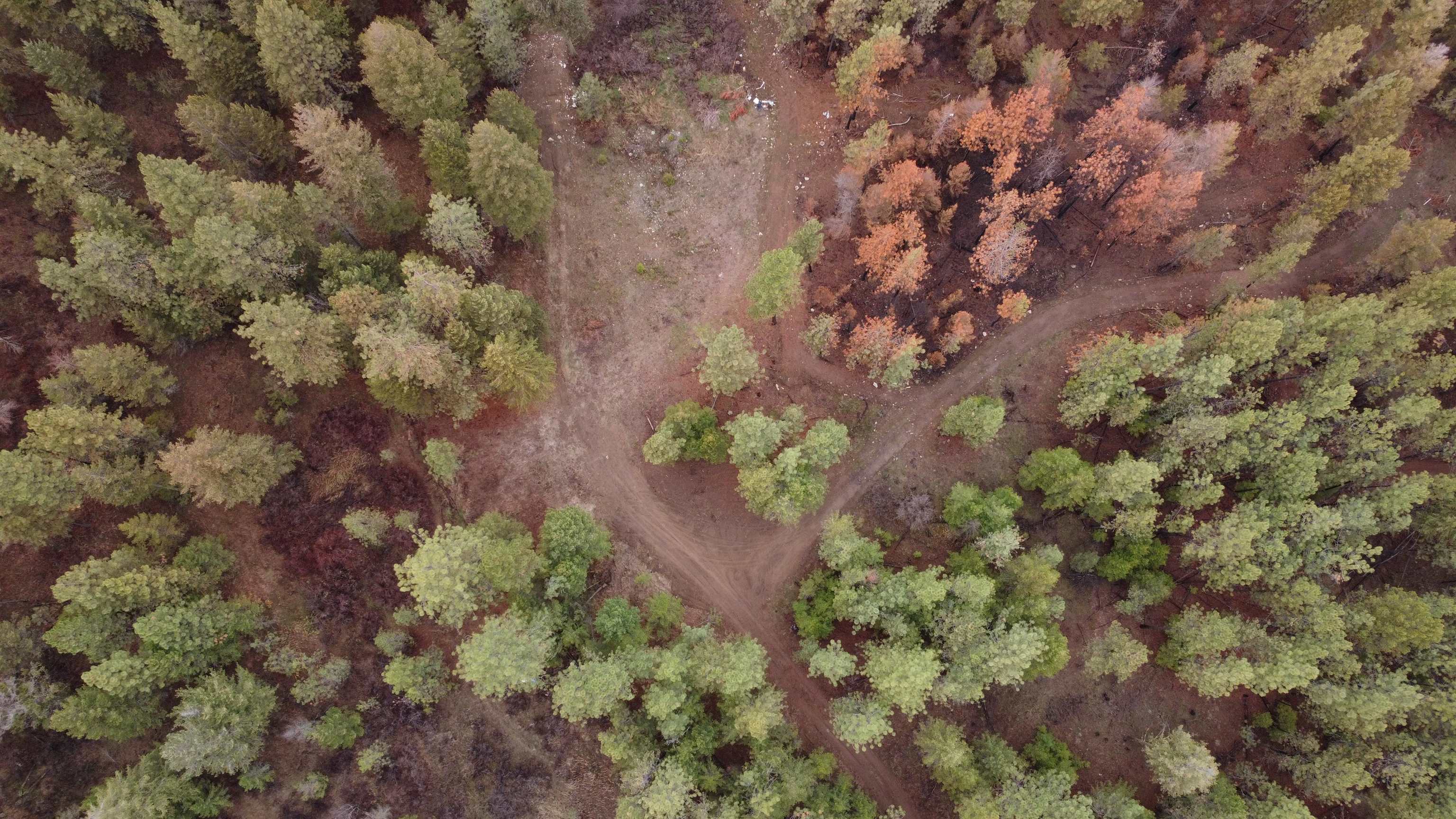 Xxx Coyote Ridge Ln - Photo 6