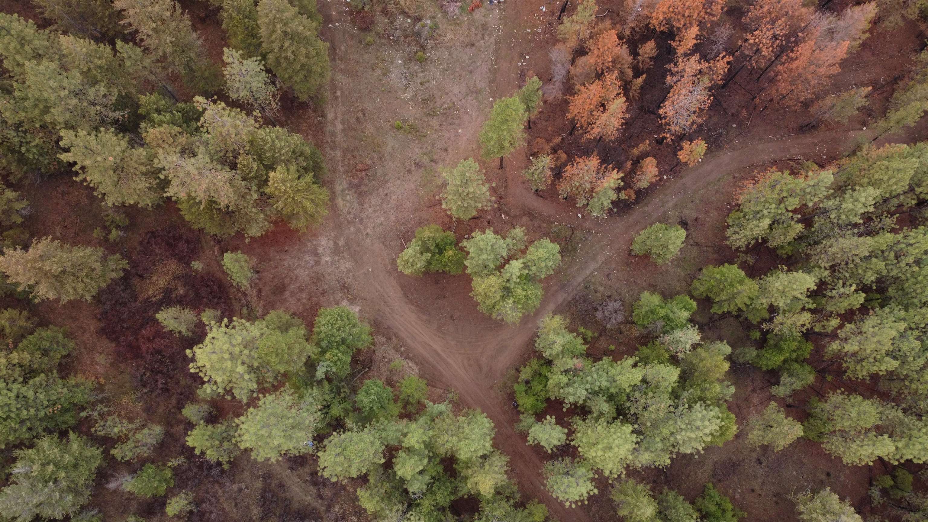 Xxx Coyote Ridge Ln - Photo 8
