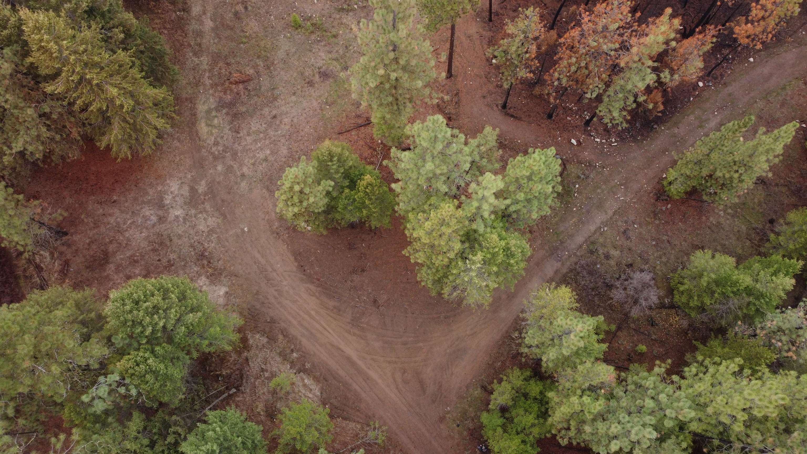 Xxx Coyote Ridge Ln - Photo 9