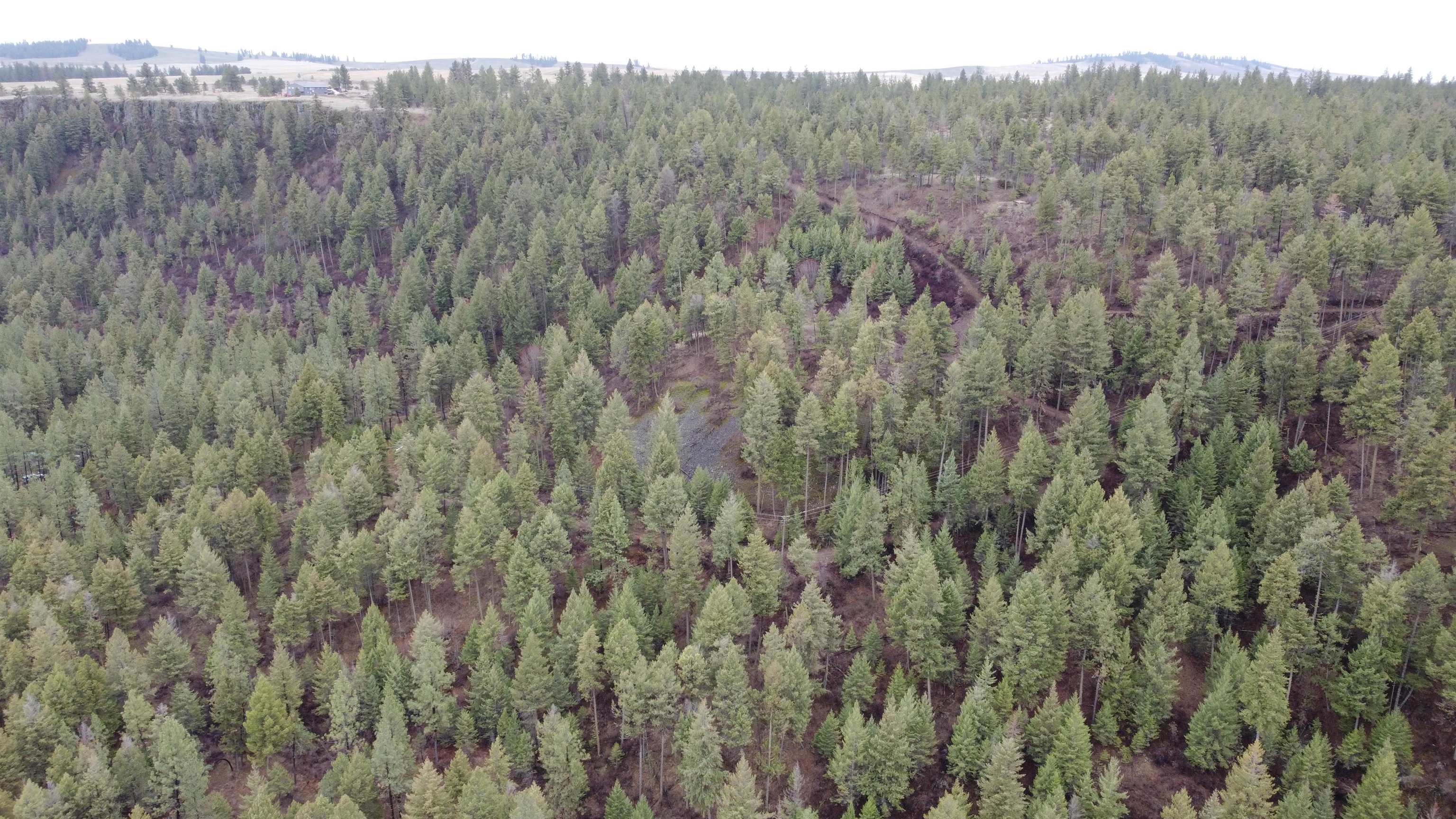 Xxx Coyote Ridge Ln - Photo 12