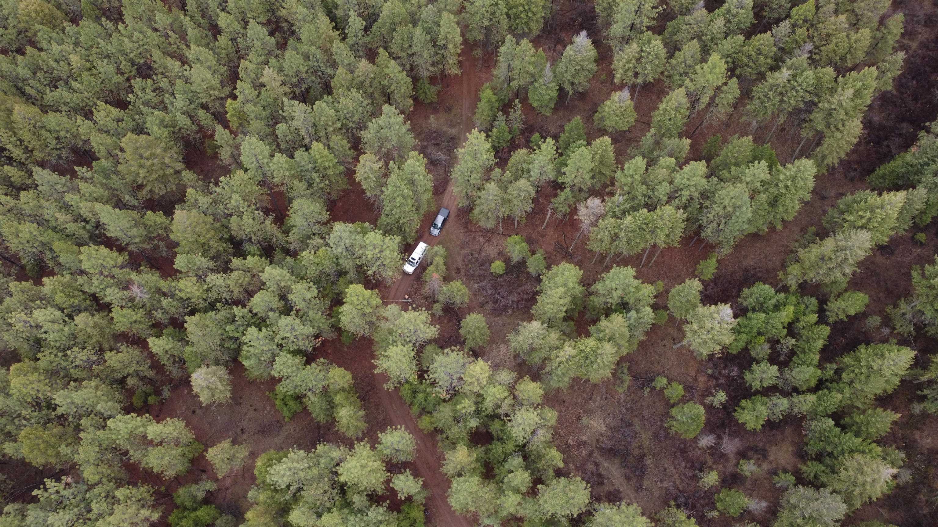 Xxx Coyote Ridge Ln - Photo 13