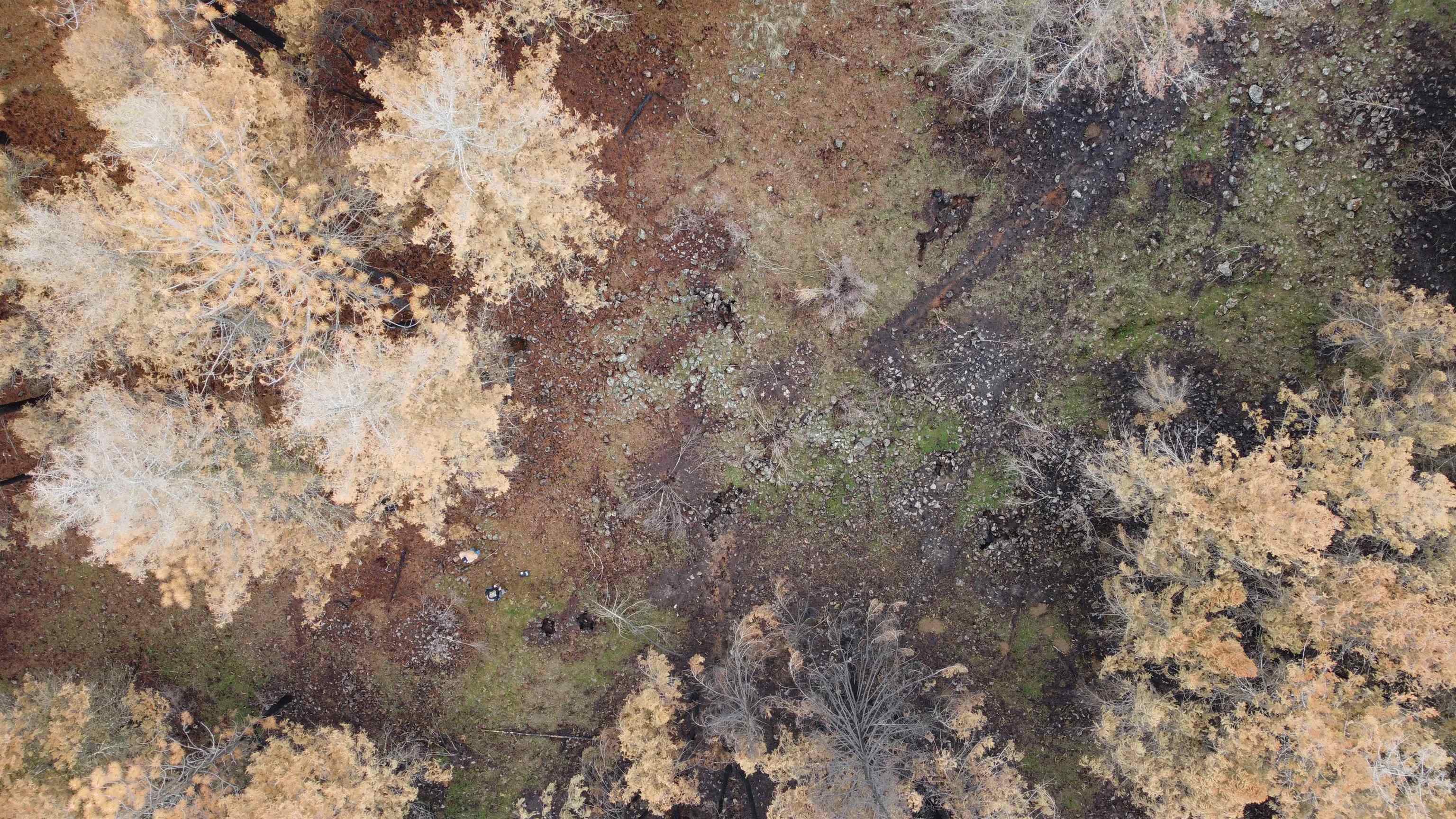 Xxx Coyote Ridge Ln - Photo 14