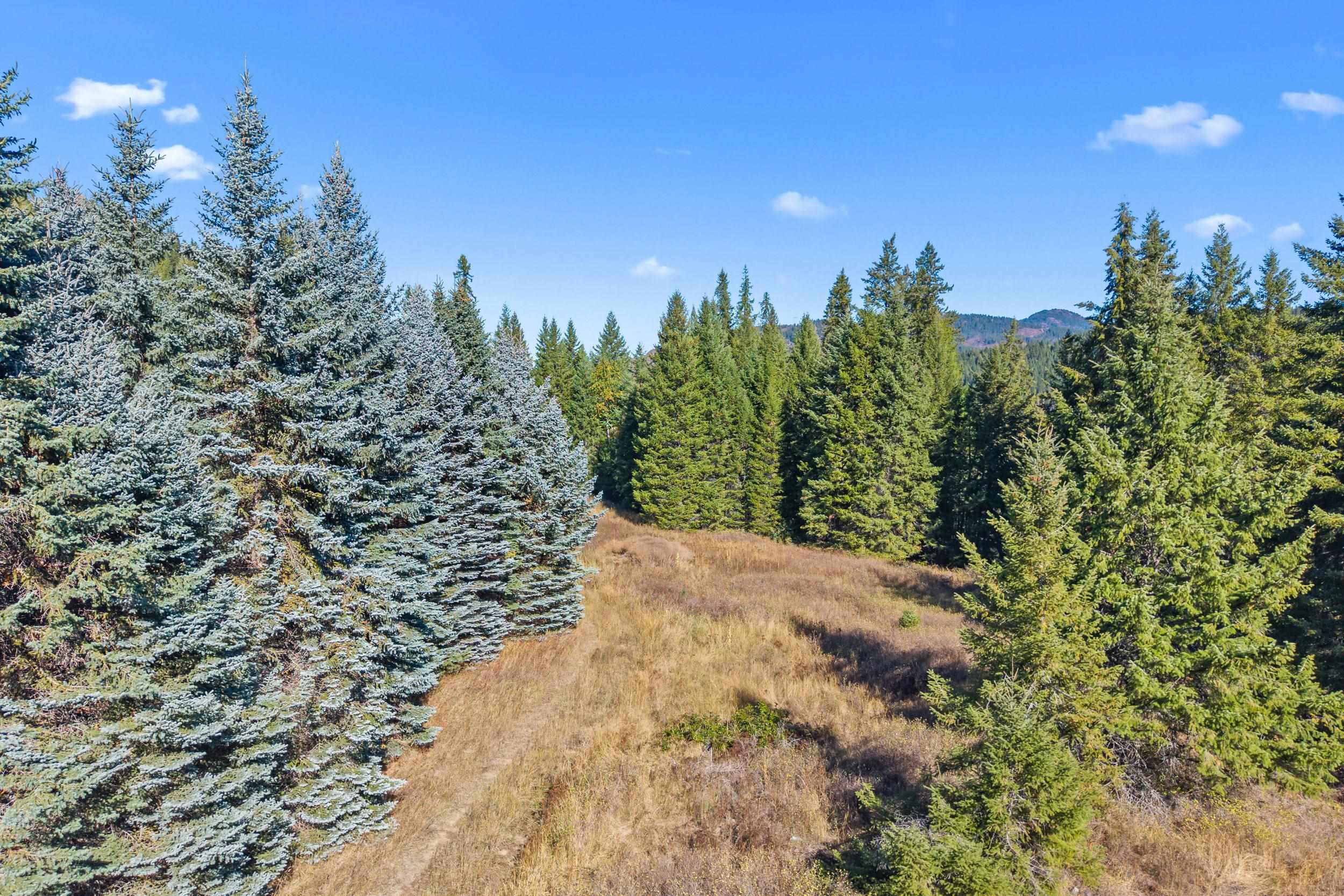 3841 Deep Lake Boundary Rd - Photo 11