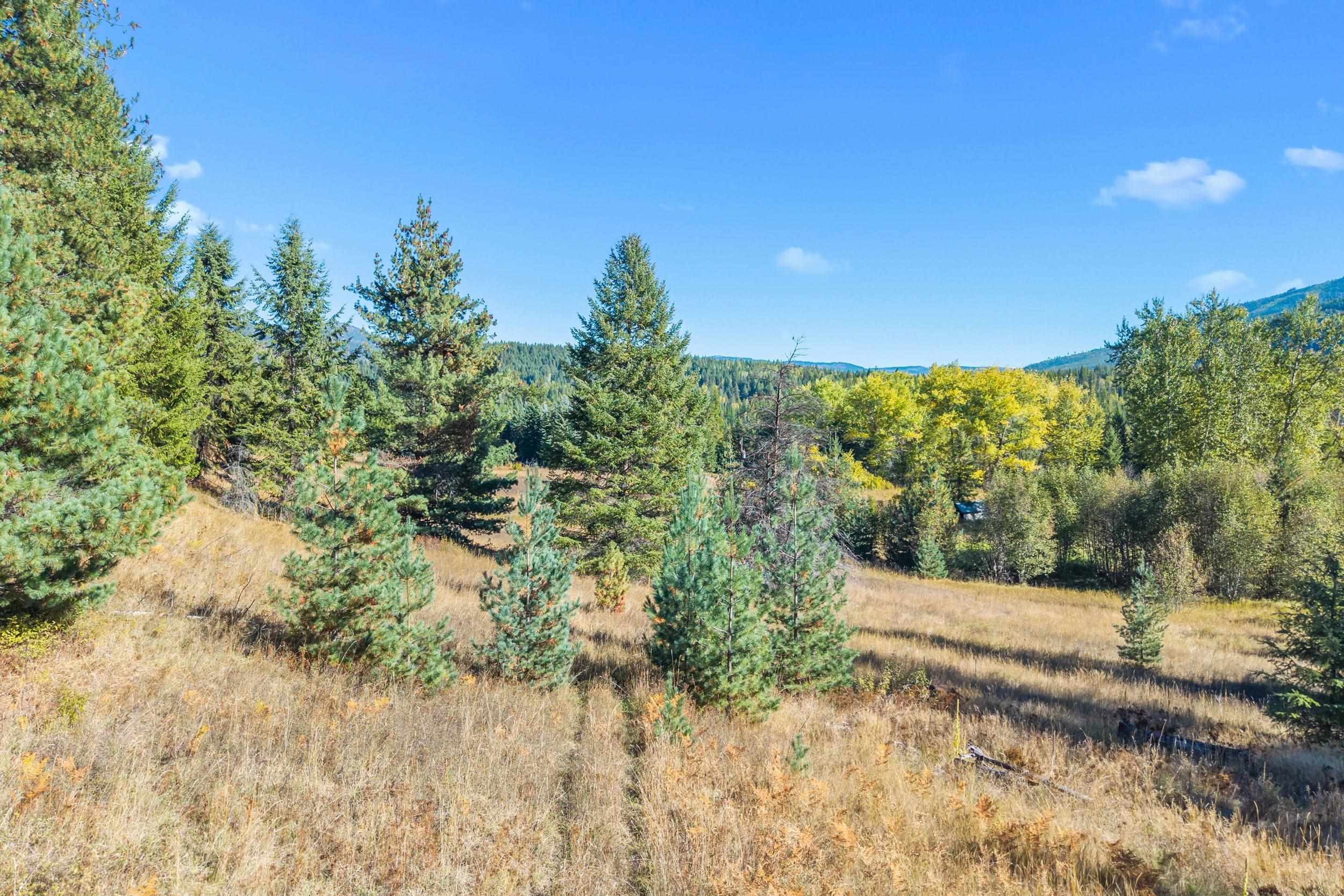 3841 Deep Lake Boundary Rd - Photo 12