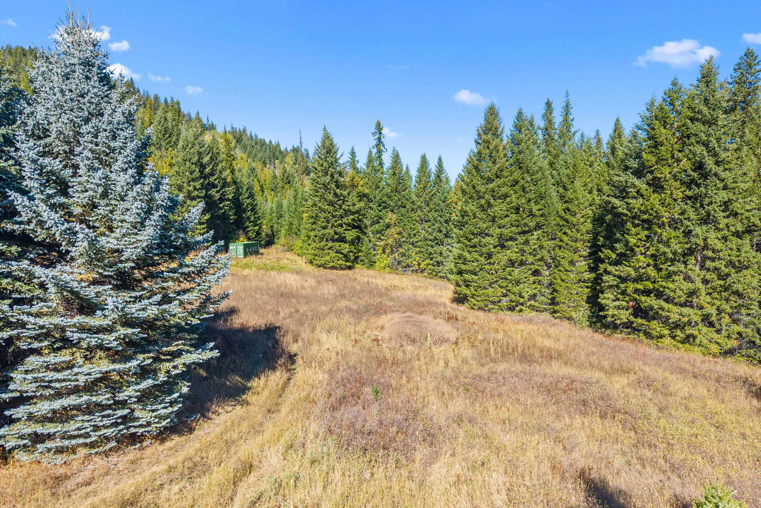 3841 Deep Lake Boundary Rd - Photo 13