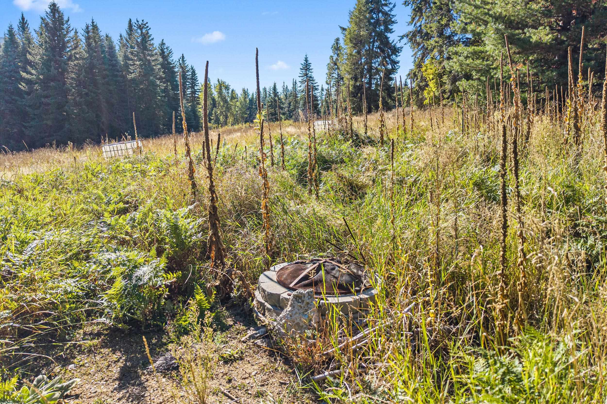 3841 Deep Lake Boundary Rd - Photo 19