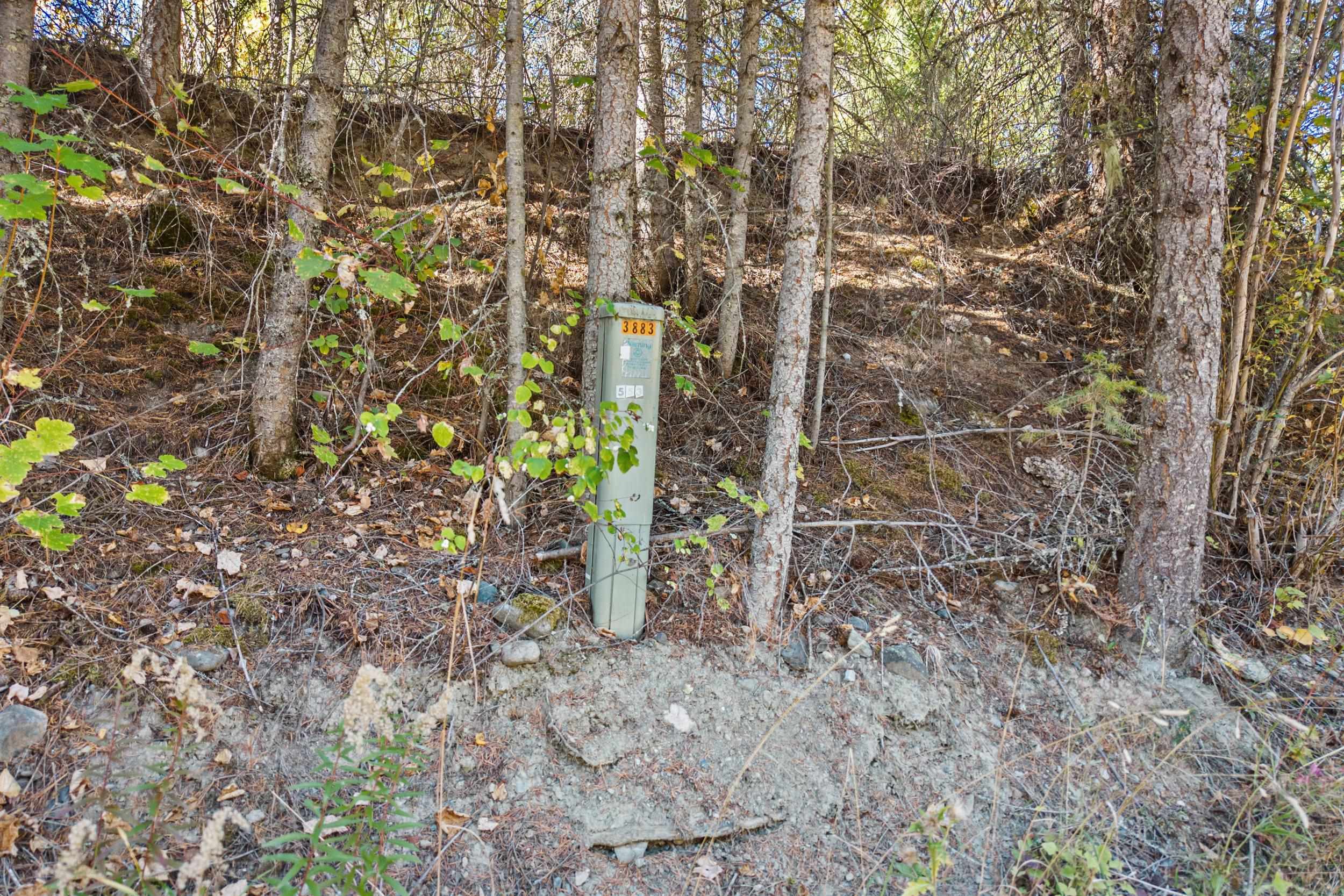 3841 Deep Lake Boundary Rd - Photo 21