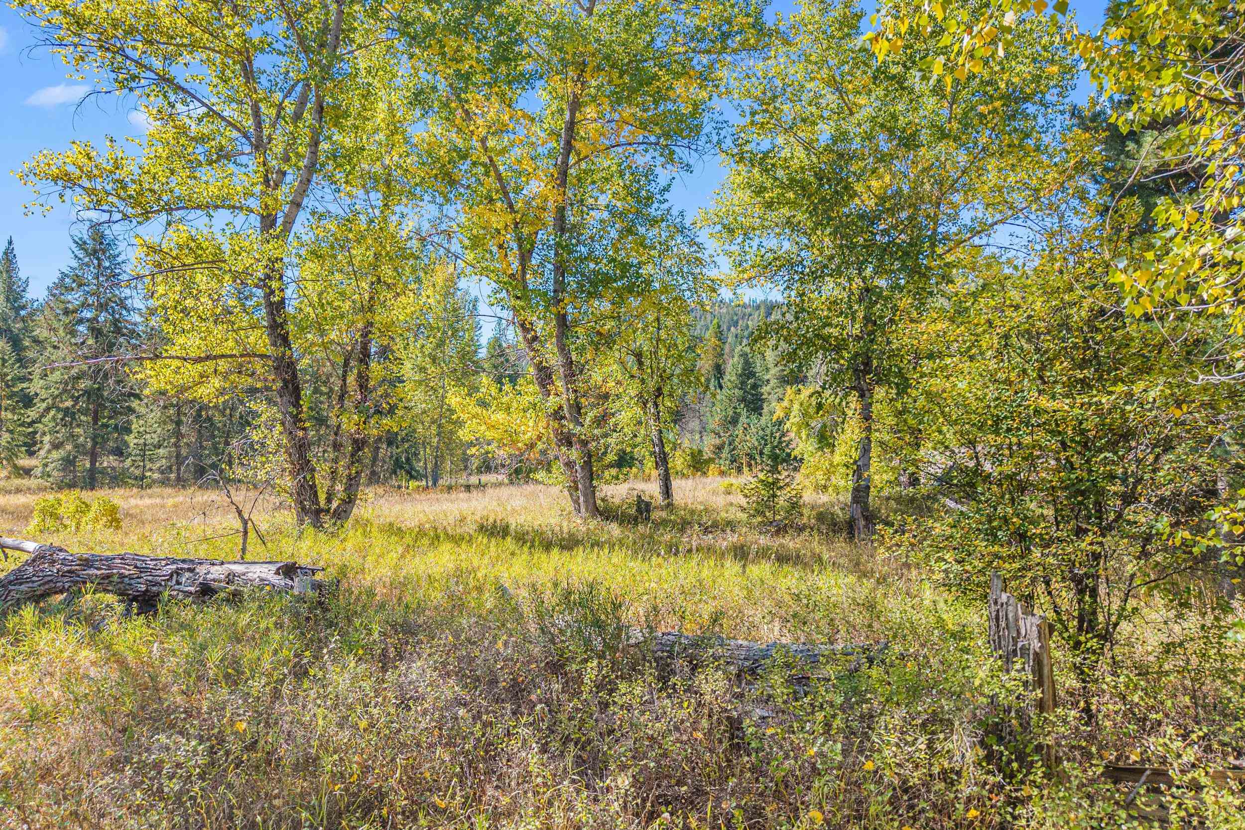 3841 Deep Lake Boundary Rd - Photo 24