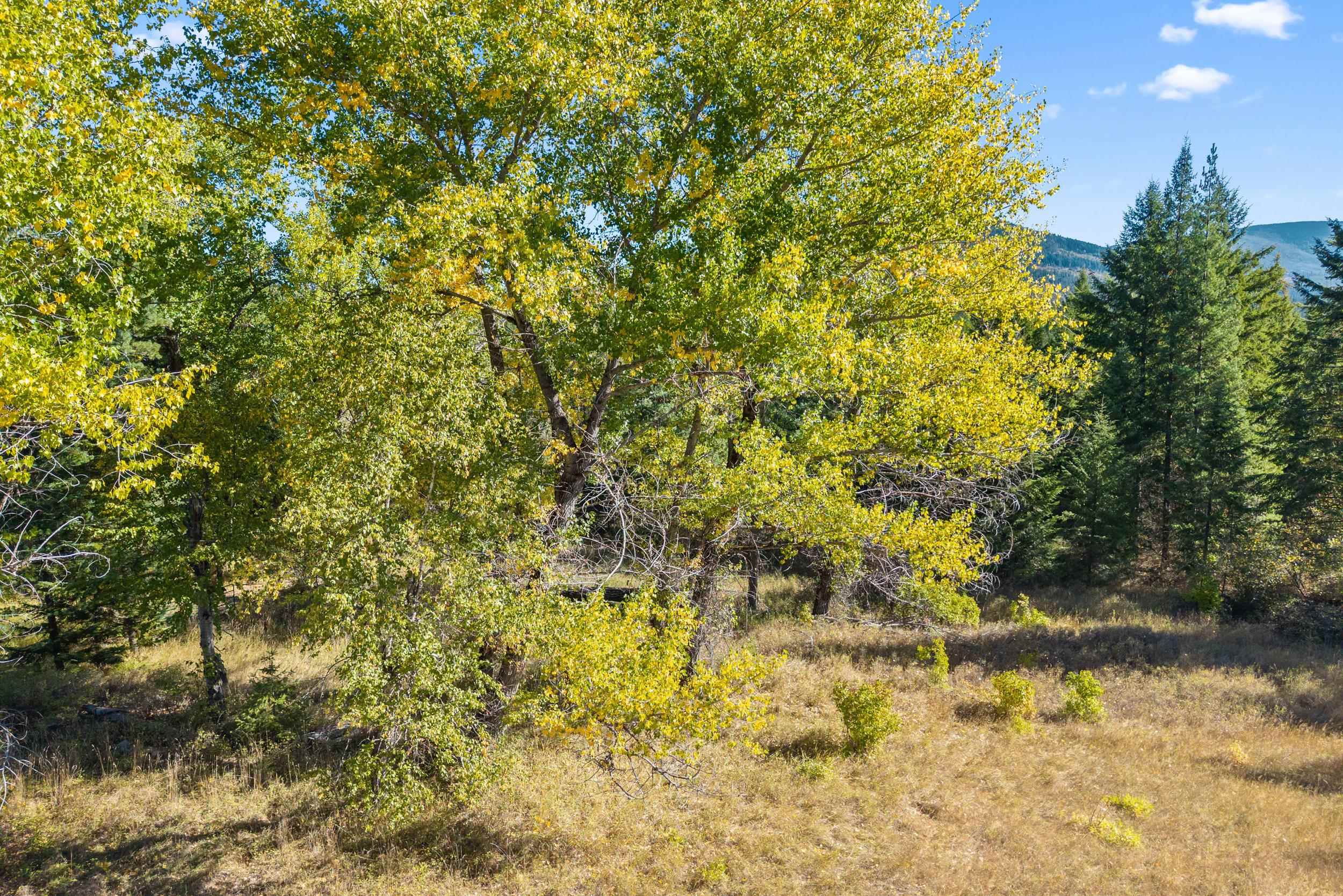 3841 Deep Lake Boundary Rd - Photo 25