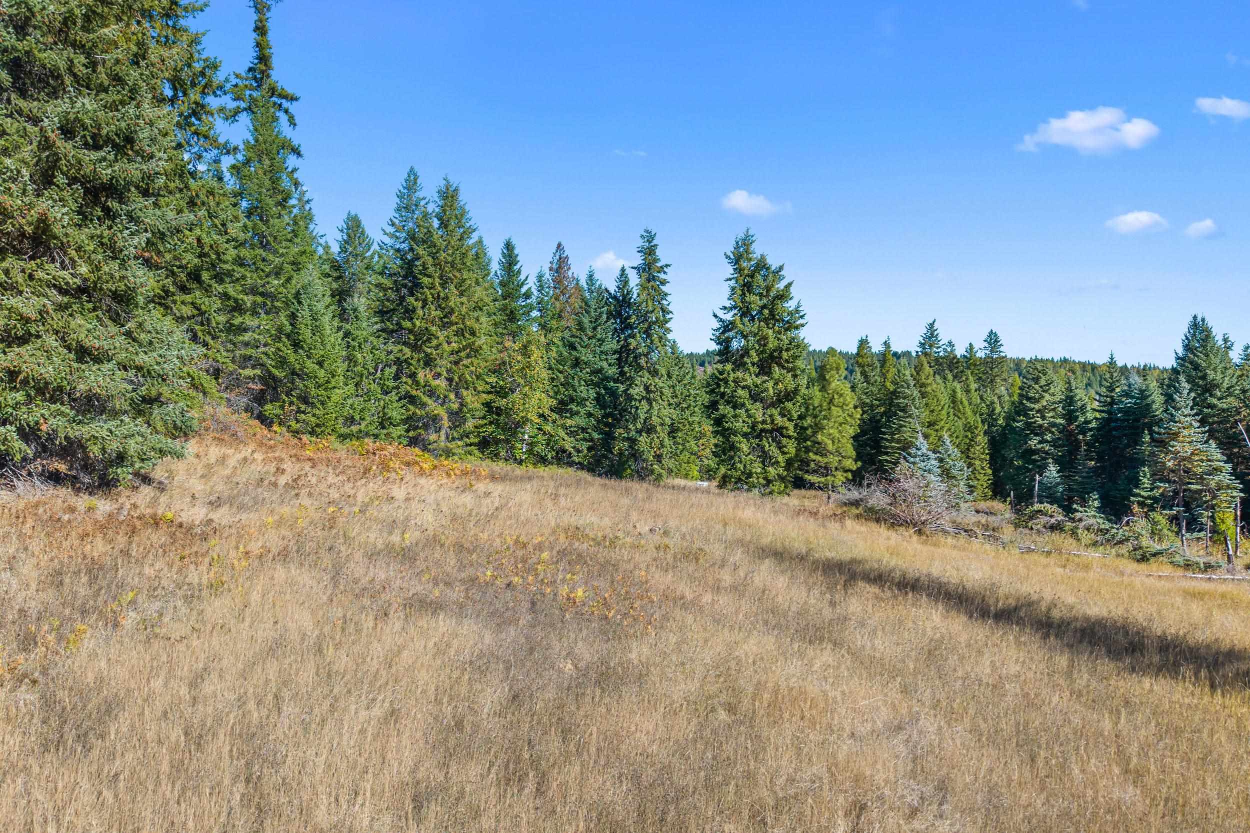 3841 Deep Lake Boundary Rd - Photo 27