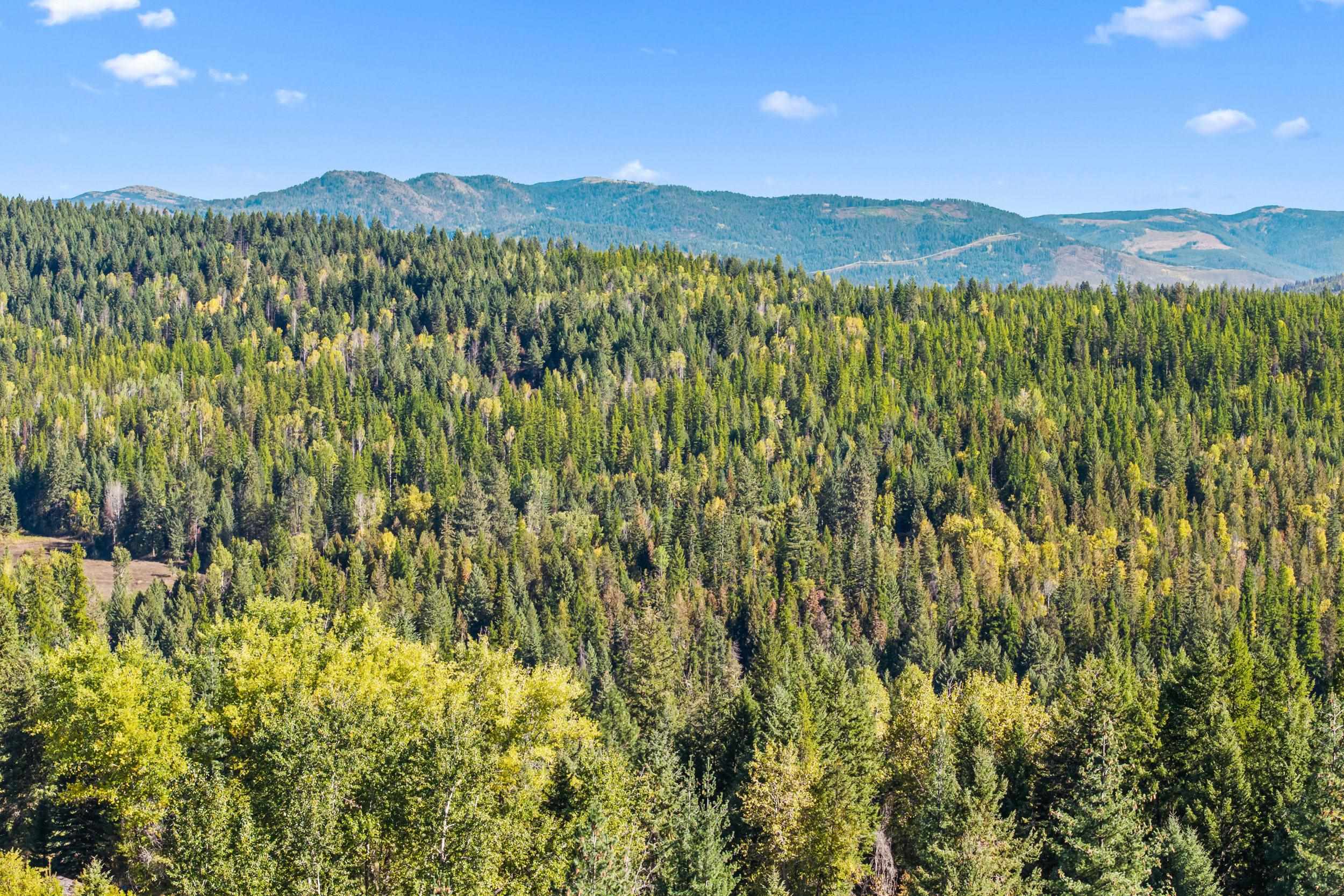 3841 Deep Lake Boundary Rd - Photo 30