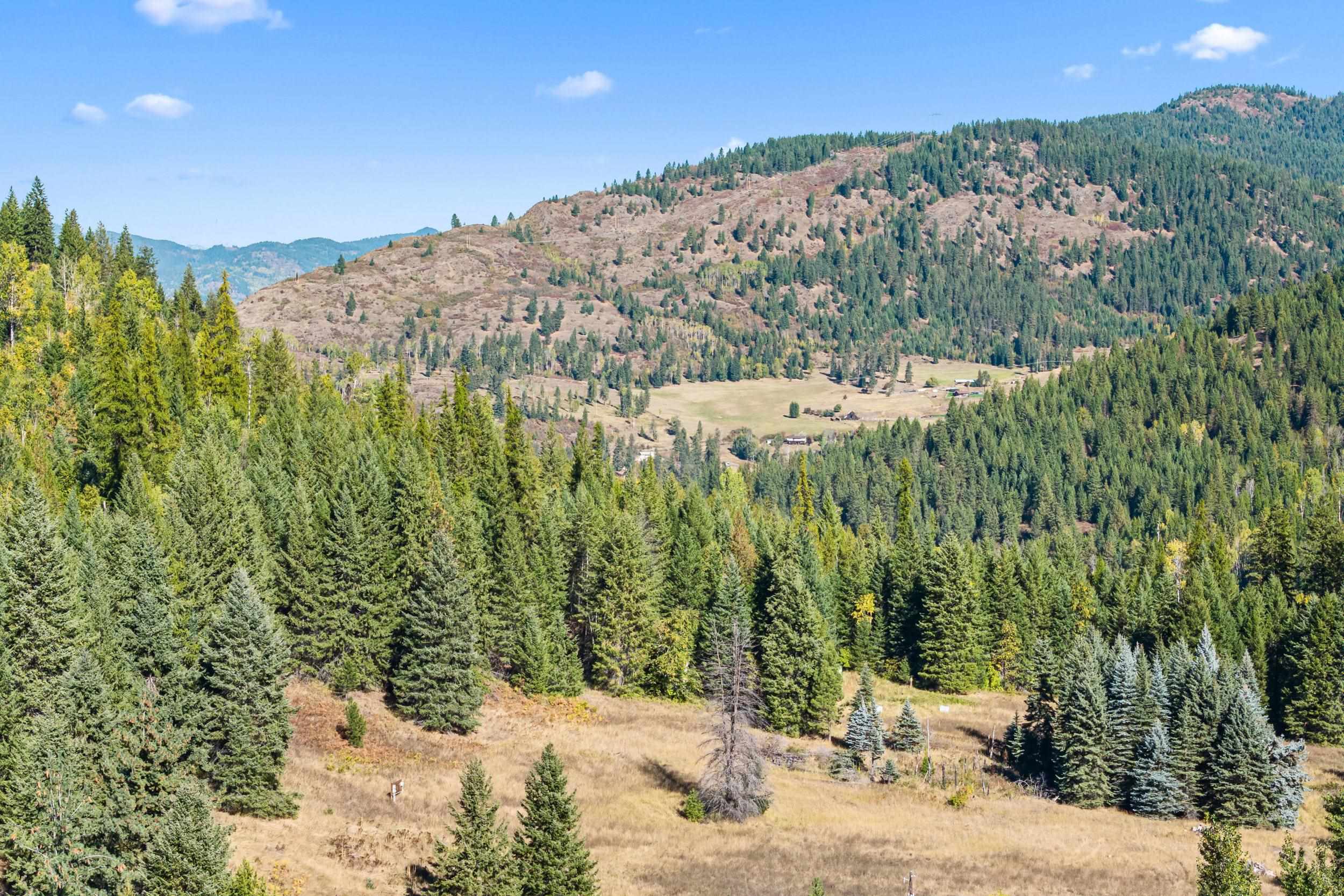 3841 Deep Lake Boundary Rd - Photo 31