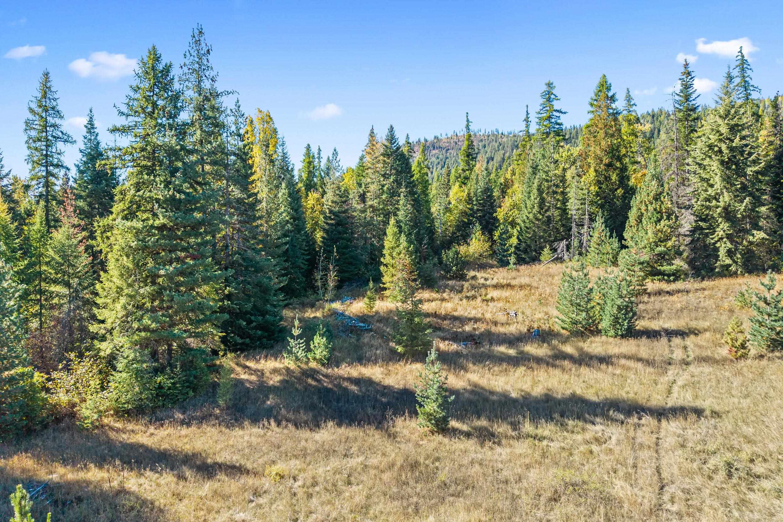 3841 Deep Lake Boundary Rd - Photo 32