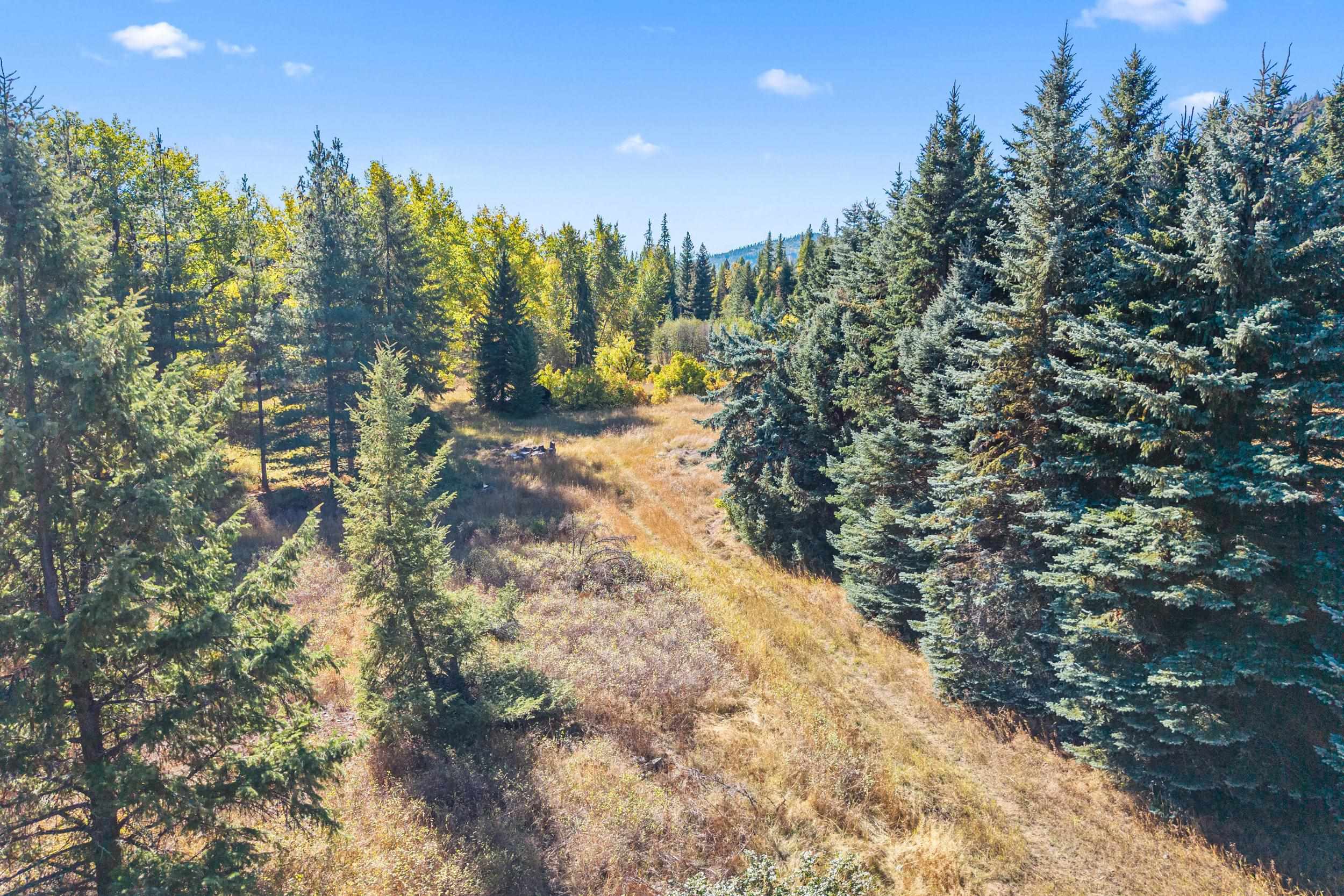 3841 Deep Lake Boundary Rd - Photo 33