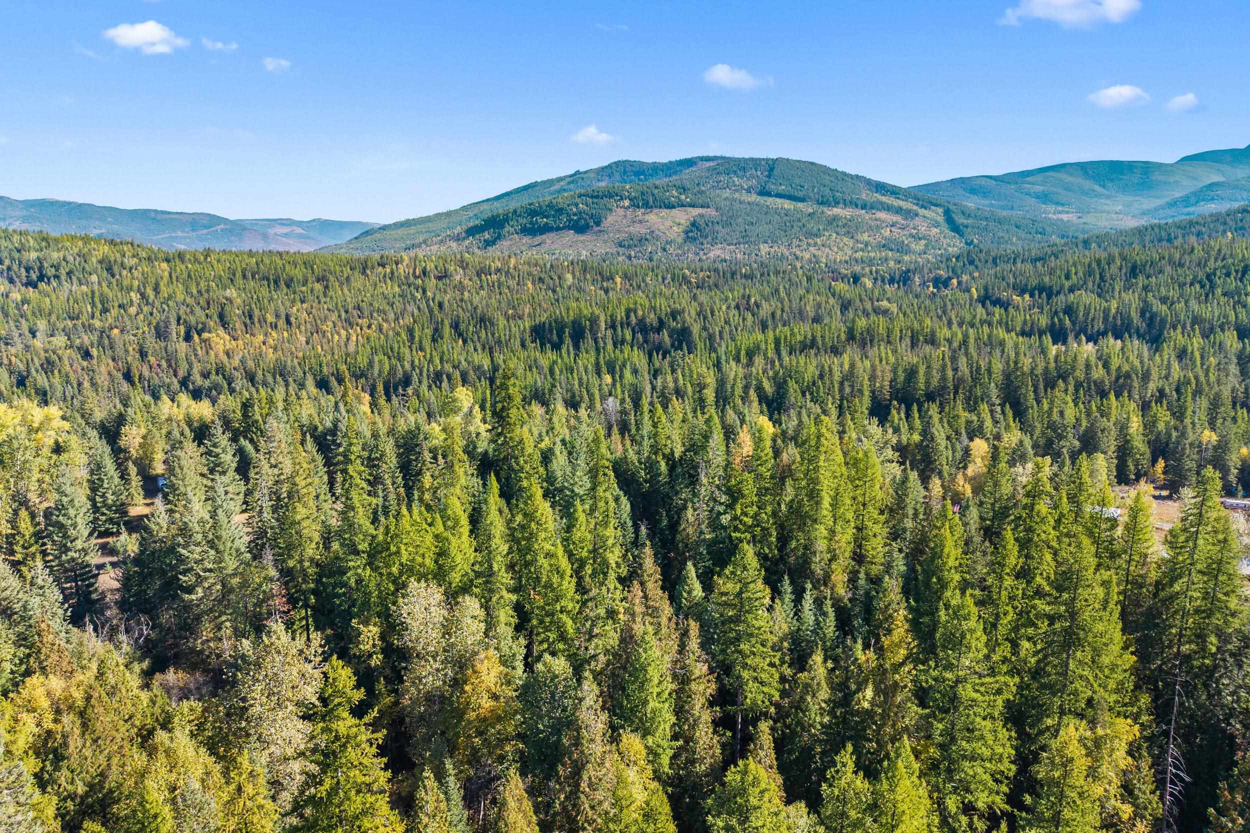 3841 Deep Lake Boundary Rd - Photo 35