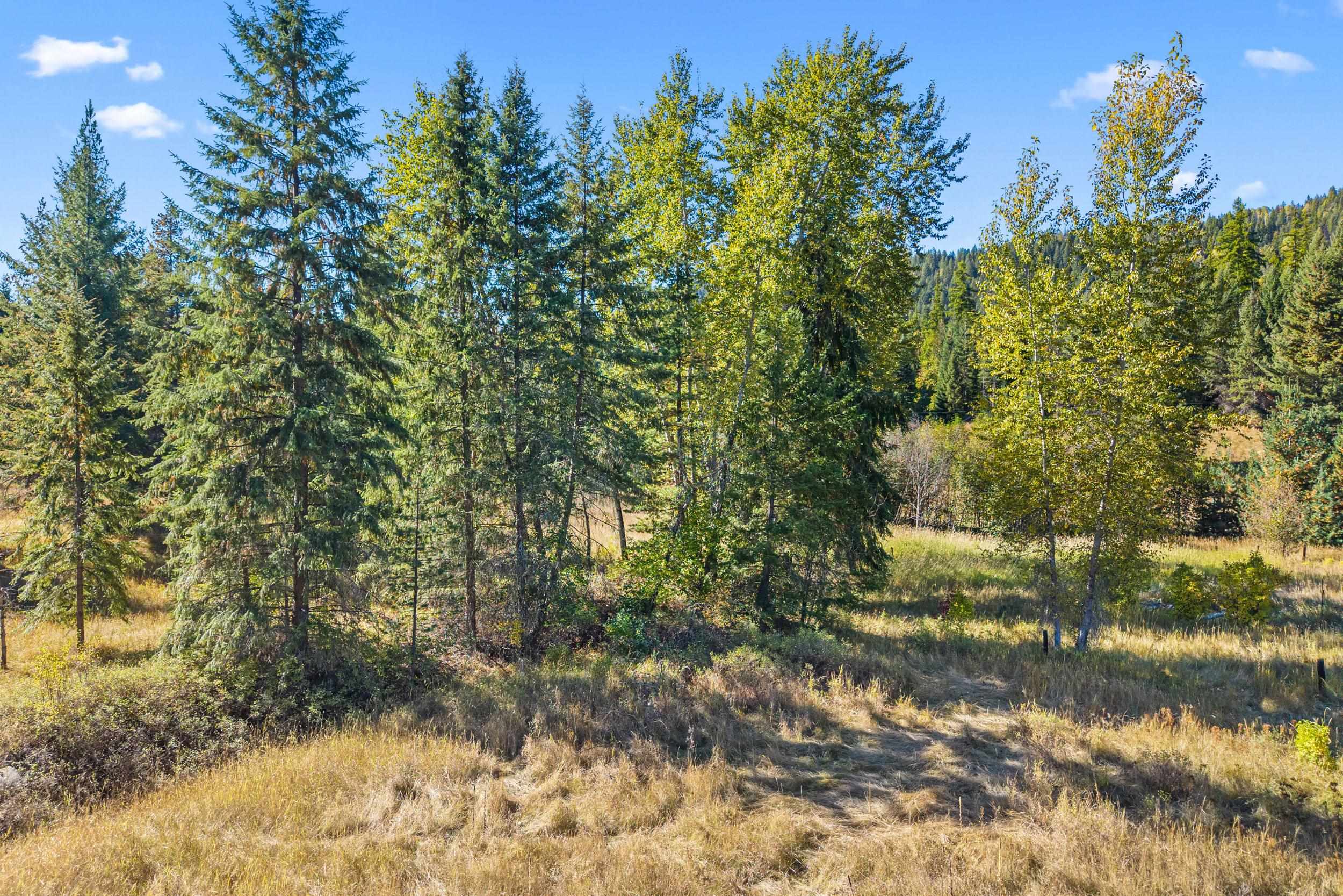 3841 Deep Lake Boundary Rd - Photo 36