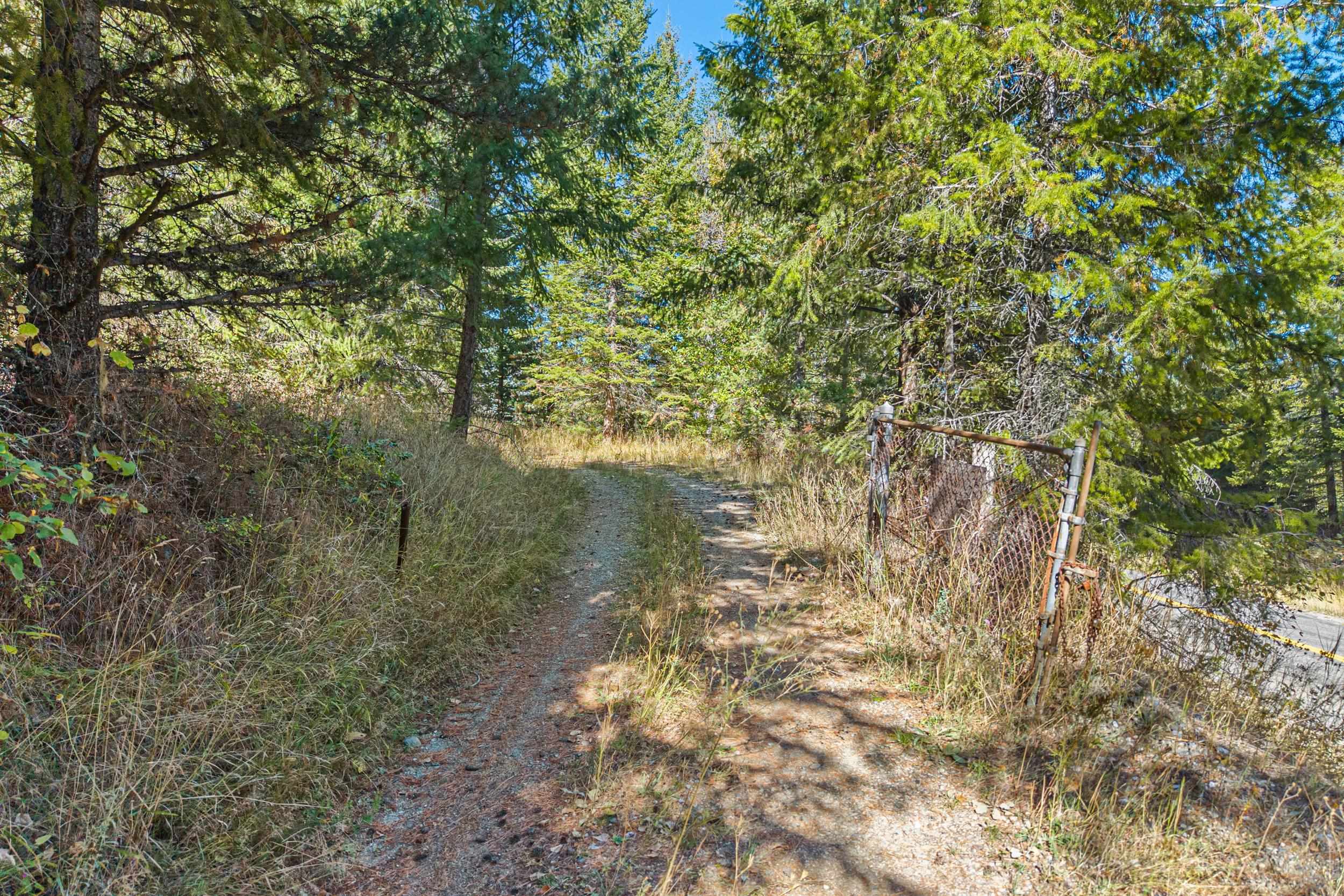 3841 Deep Lake Boundary Rd - Photo 6