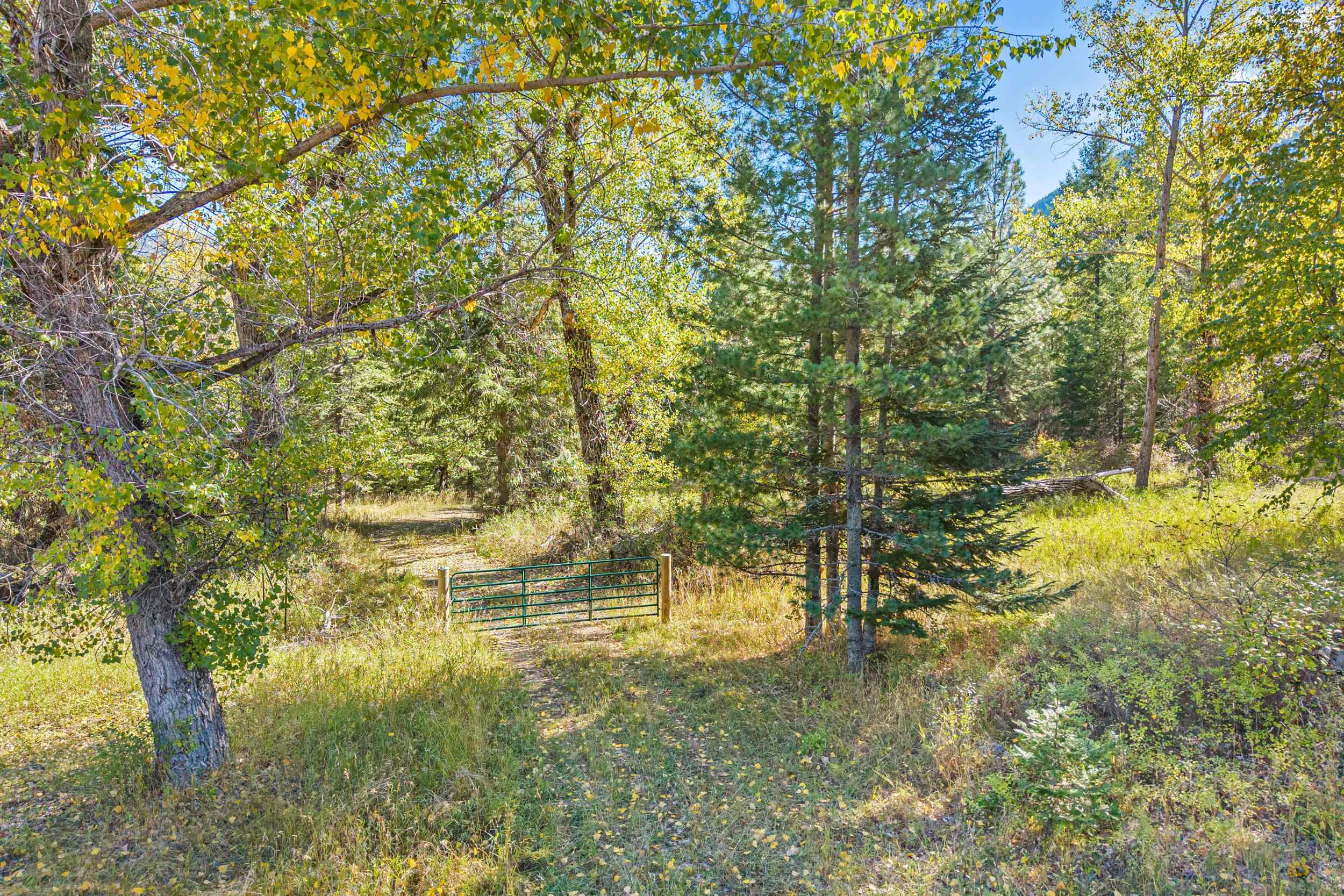 3841 Deep Lake Boundary Rd - Photo 8