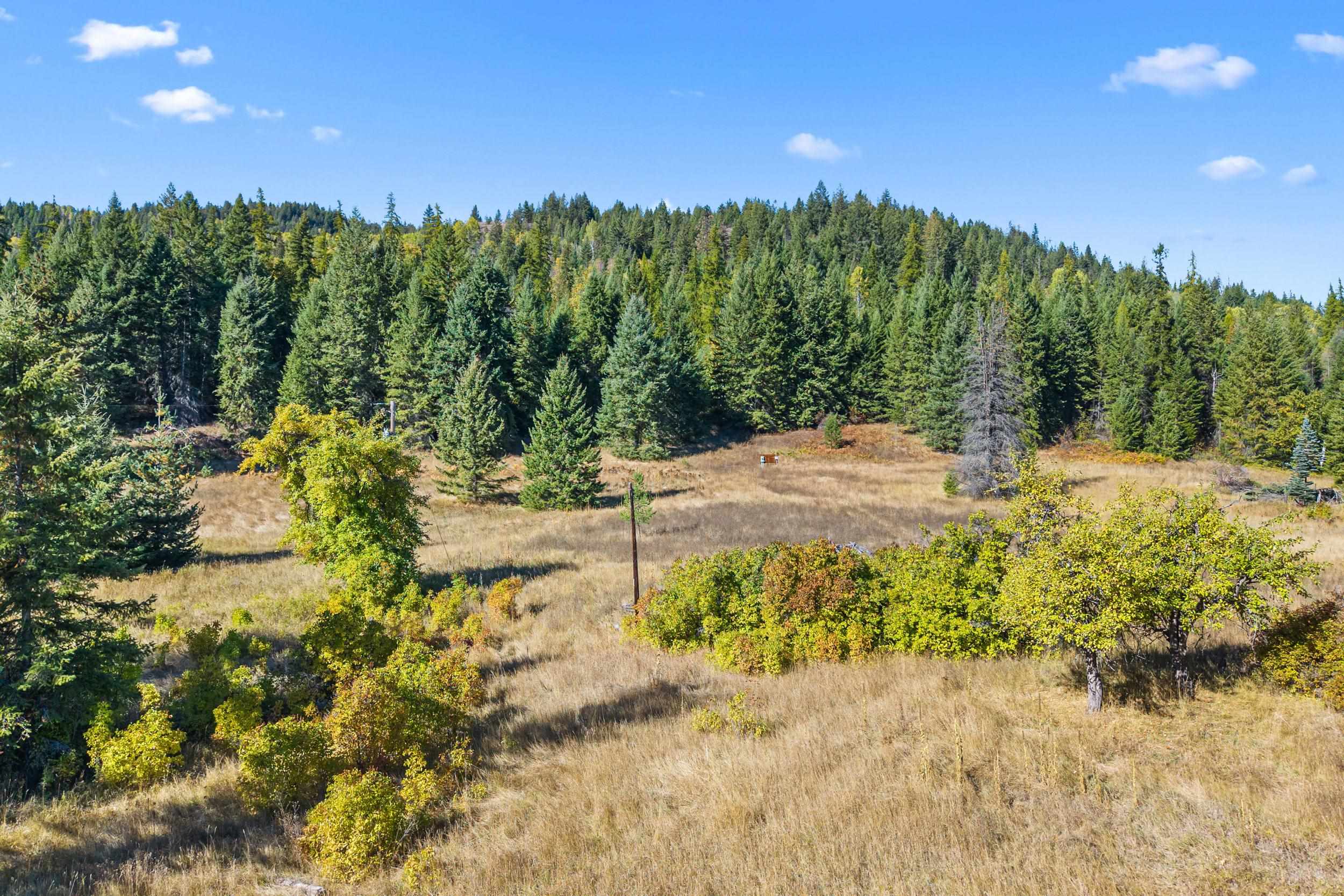 3841 Deep Lake Boundary Rd - Photo 9
