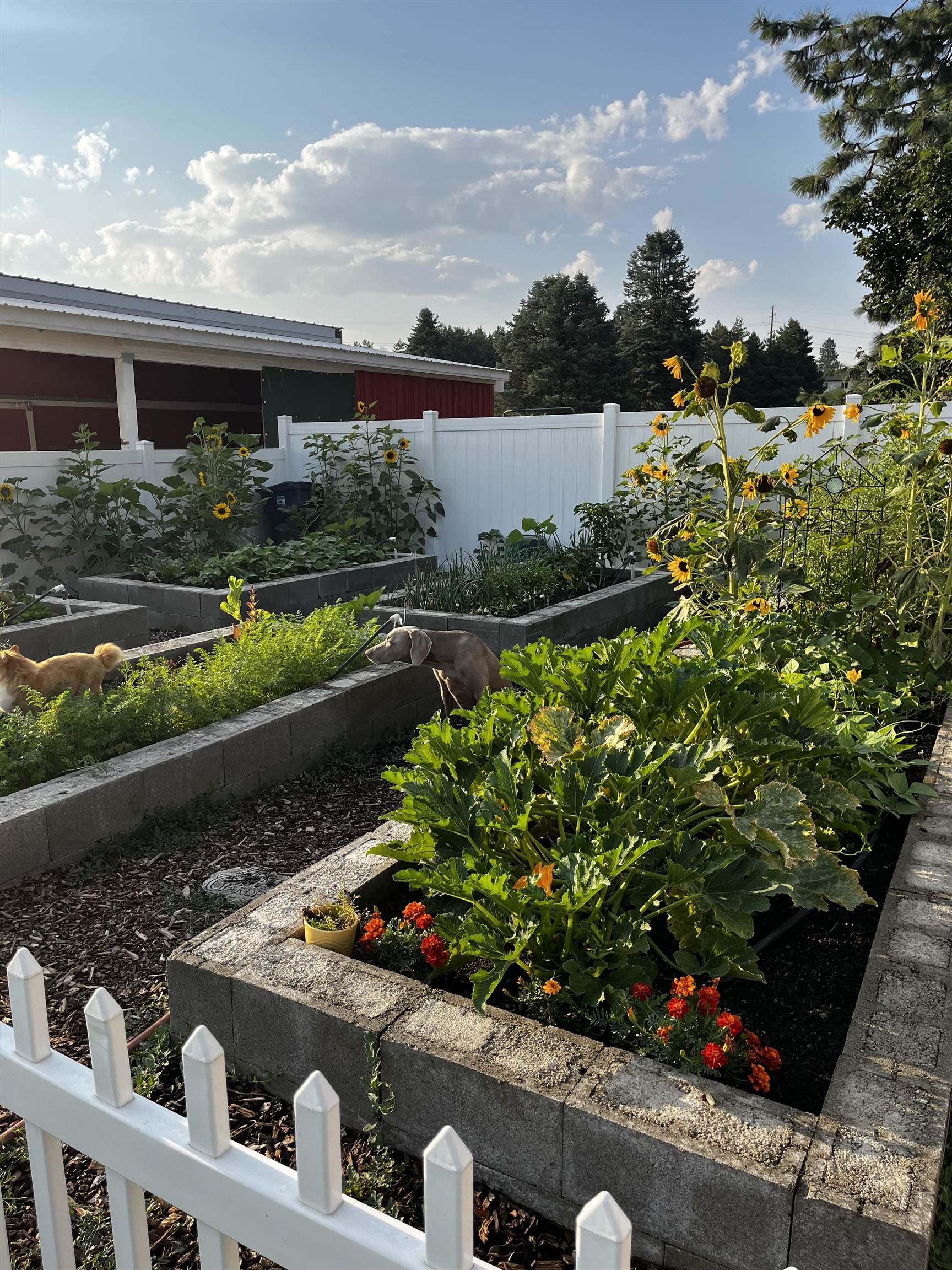 6412 N JENSEN Rd - Photo 25