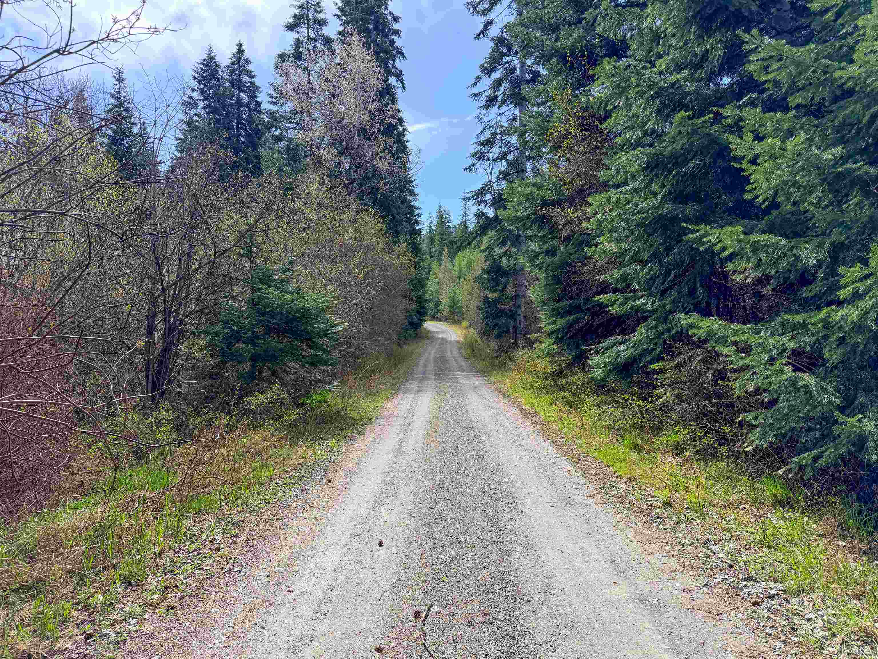 4224-C Grouse Creek Rd - Photo 2