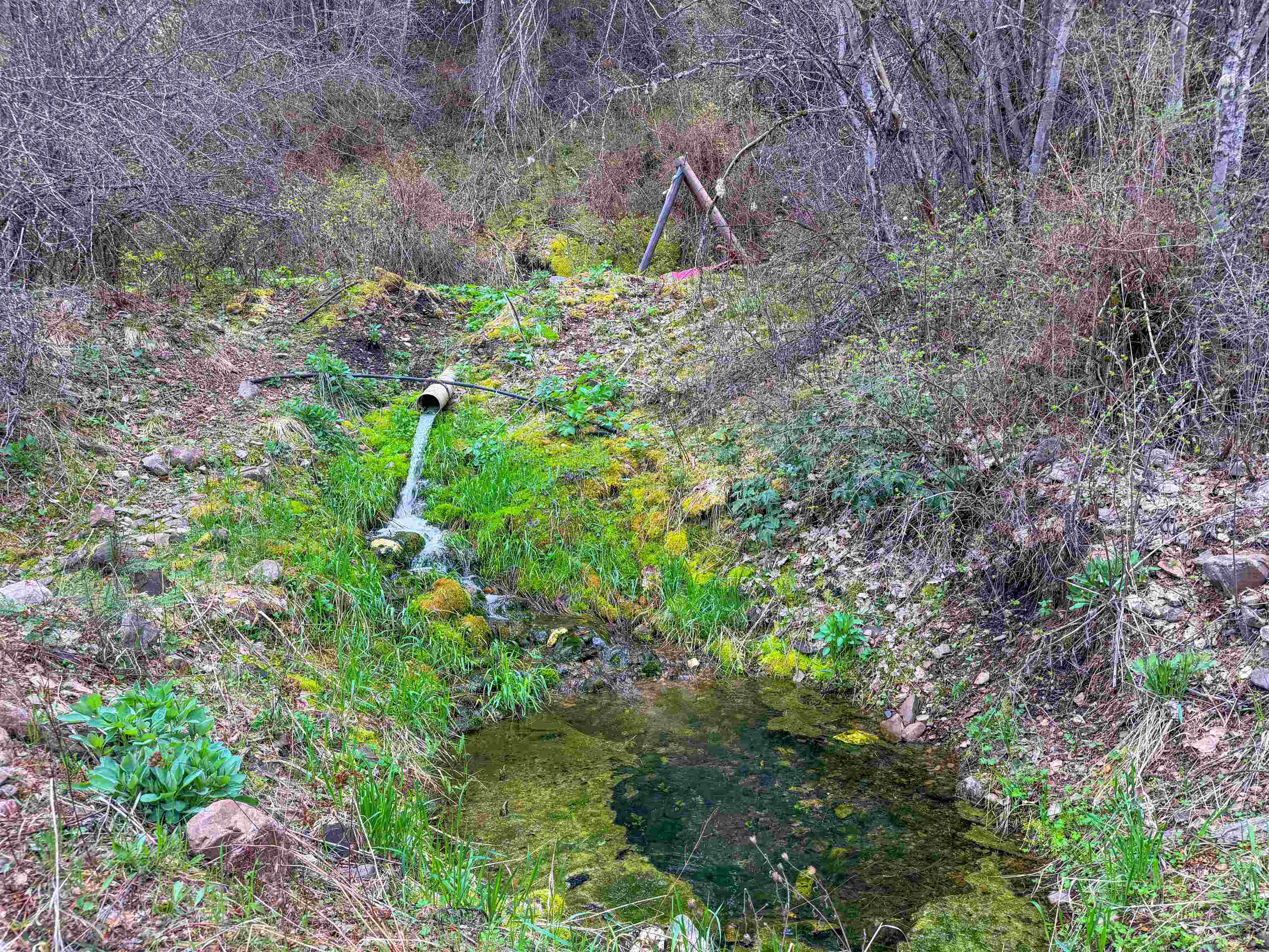 4224-C Grouse Creek Rd - Photo 3
