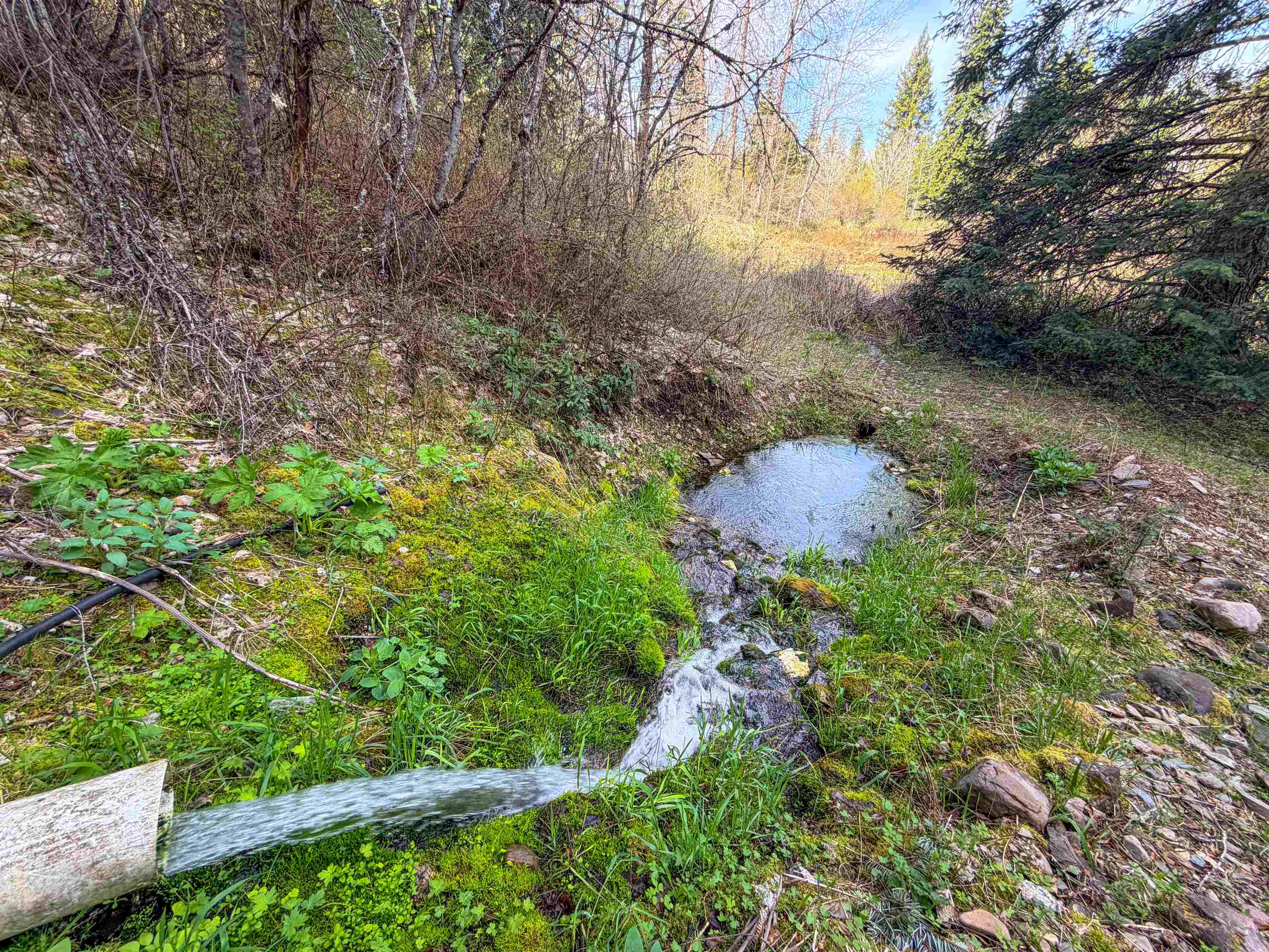 4224-C Grouse Creek Rd - Photo 4