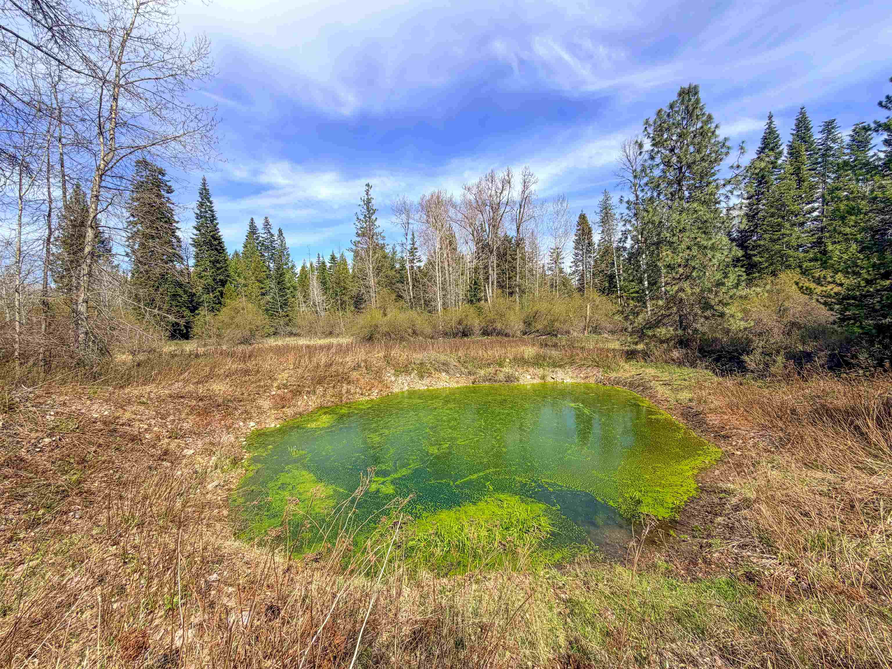 4224-C Grouse Creek Rd - Photo 5
