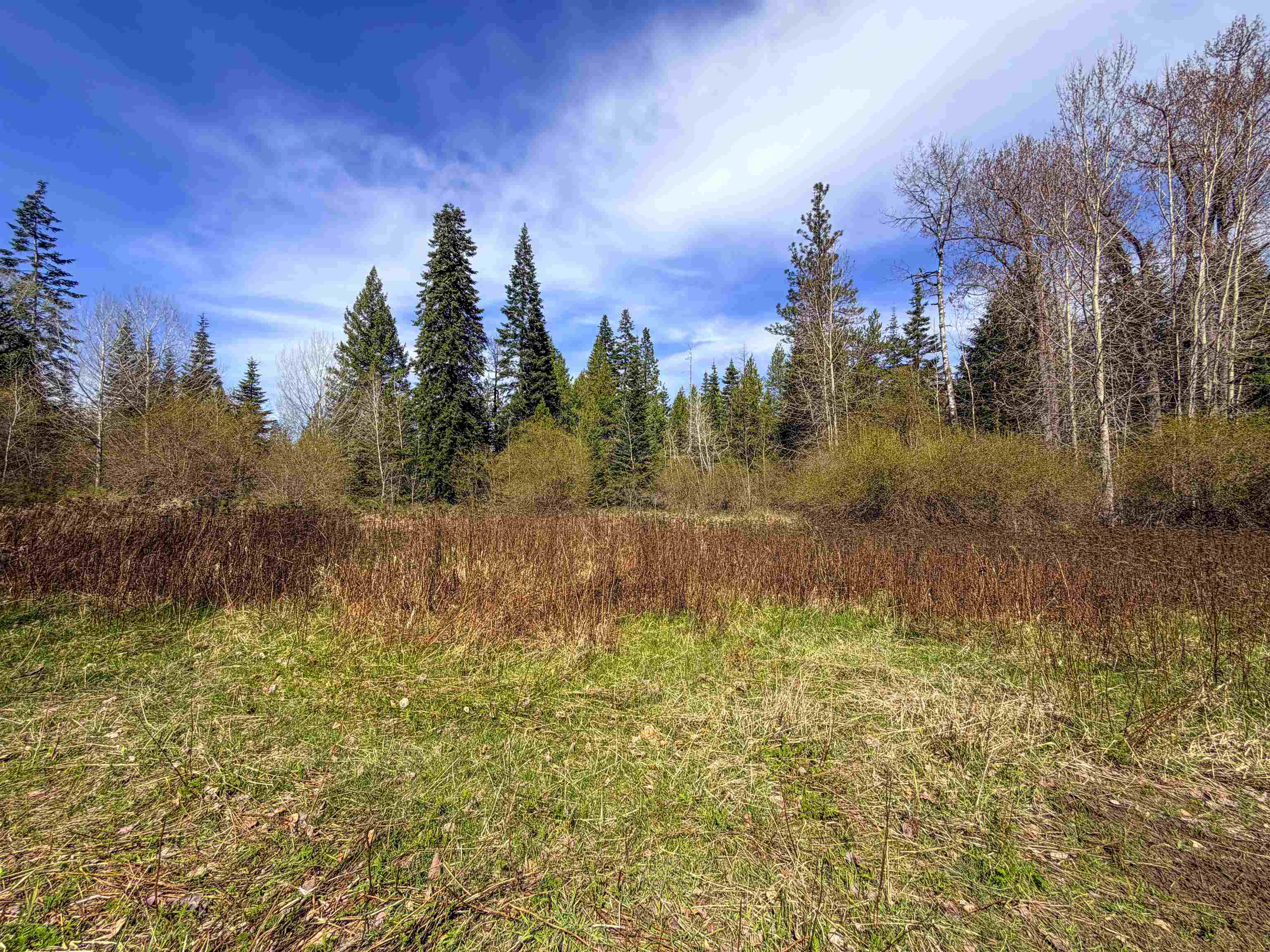 4224-C Grouse Creek Rd - Photo 7