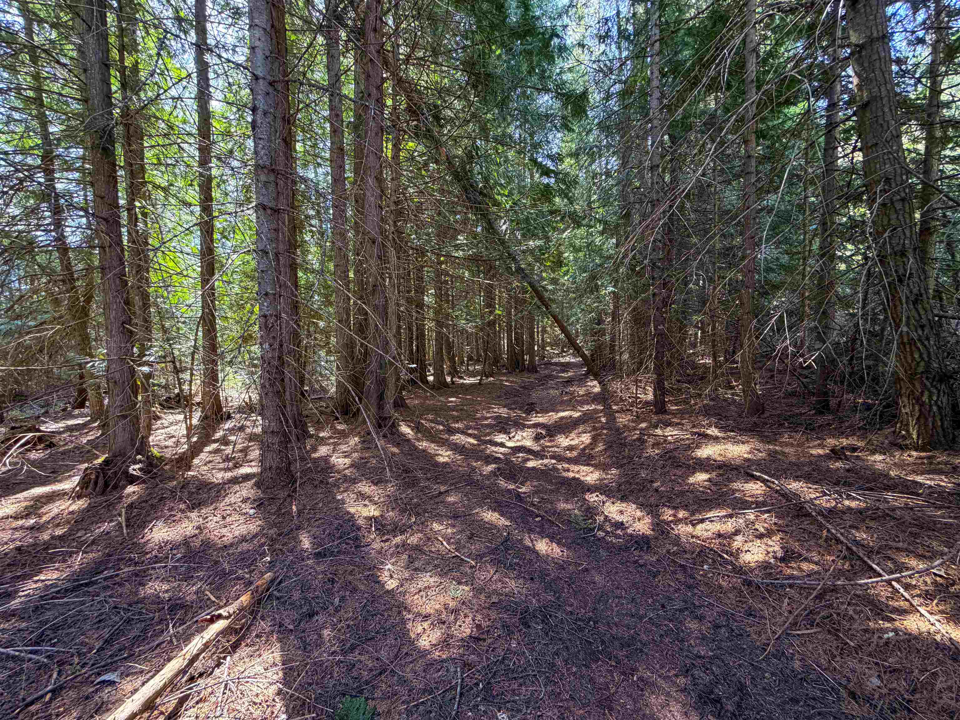 4224-C Grouse Creek Rd - Photo 9
