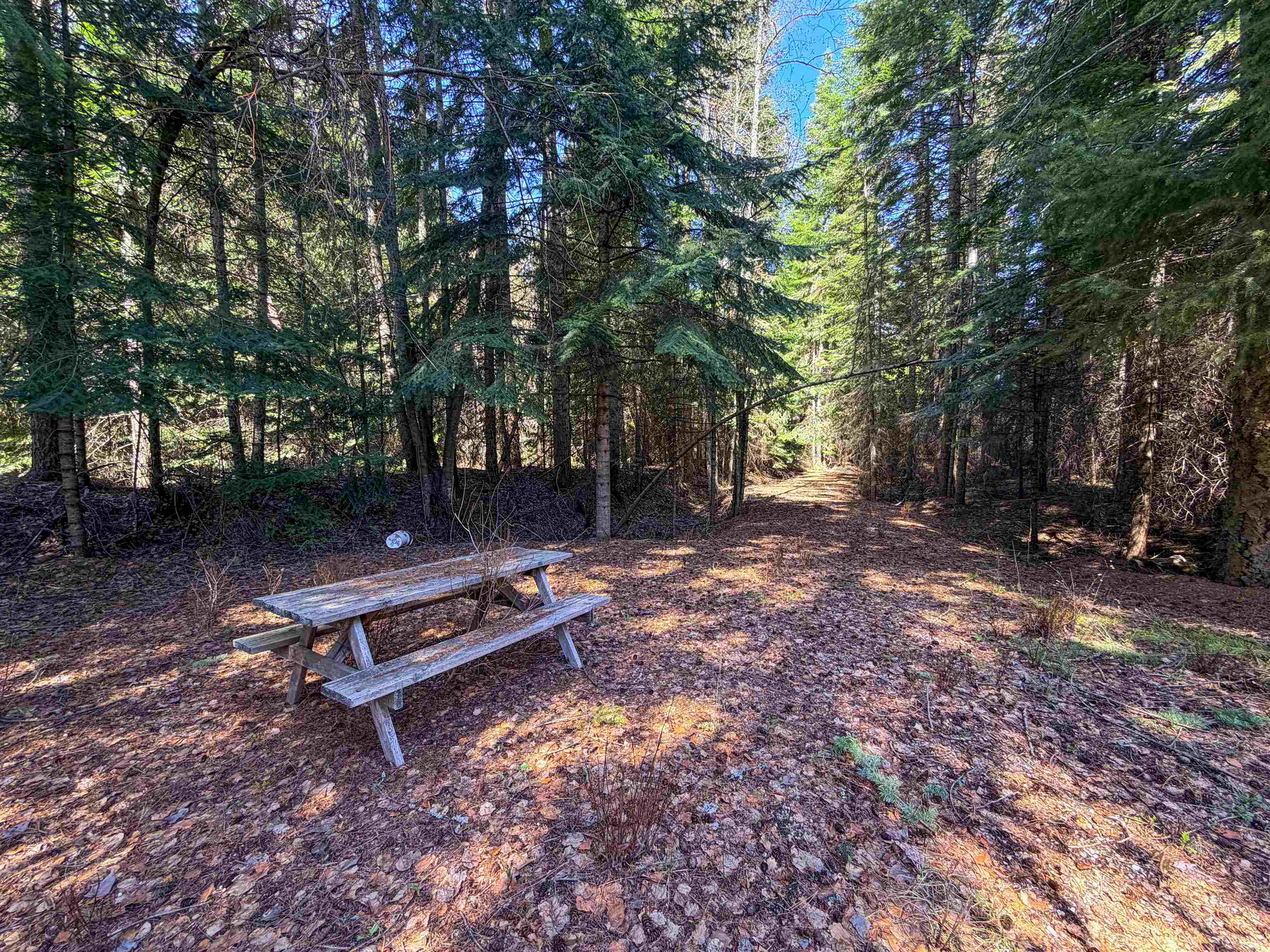 4224-C Grouse Creek Rd - Photo 10