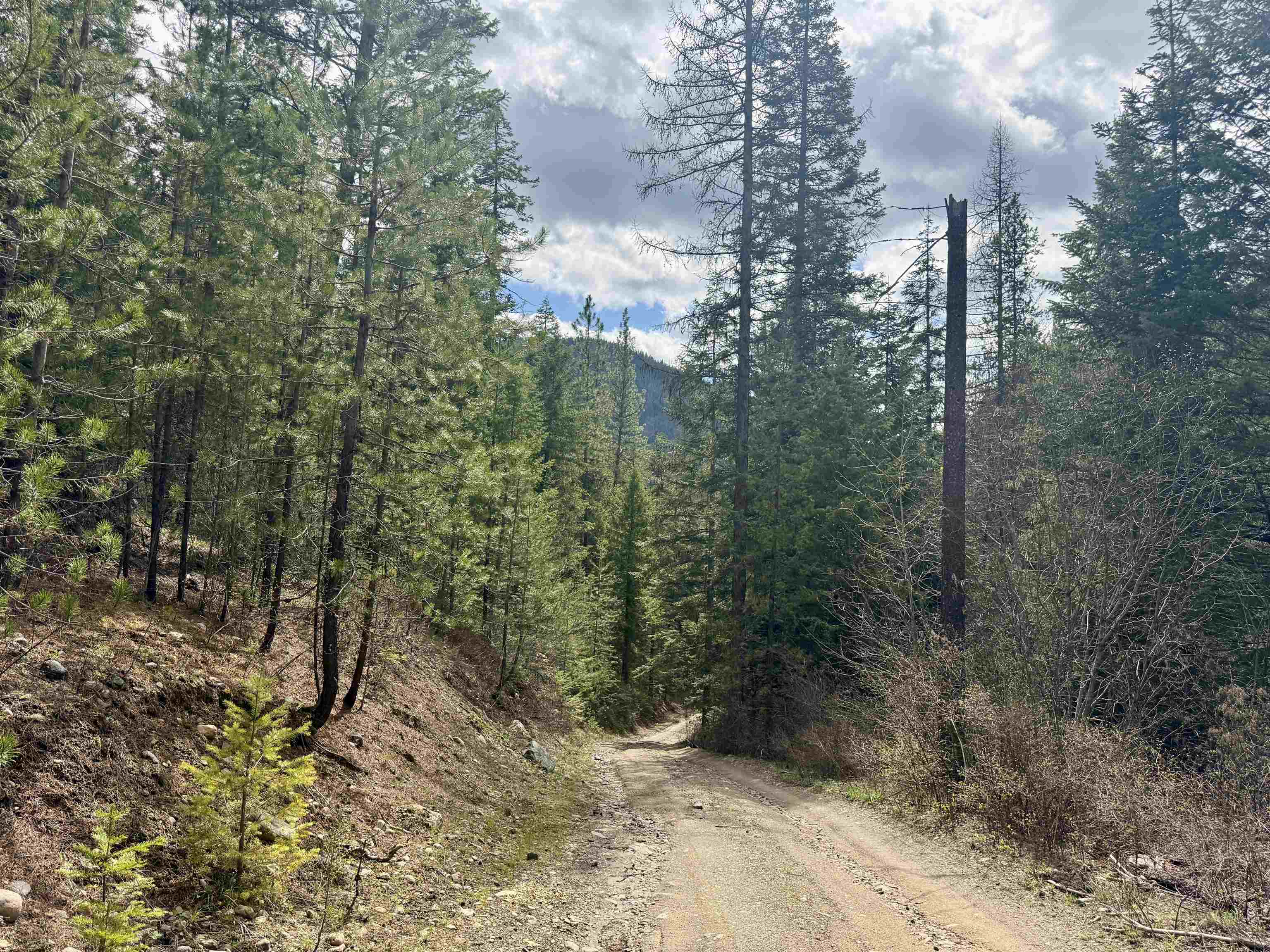 3706 k Waitts Lake Rd - Photo 1