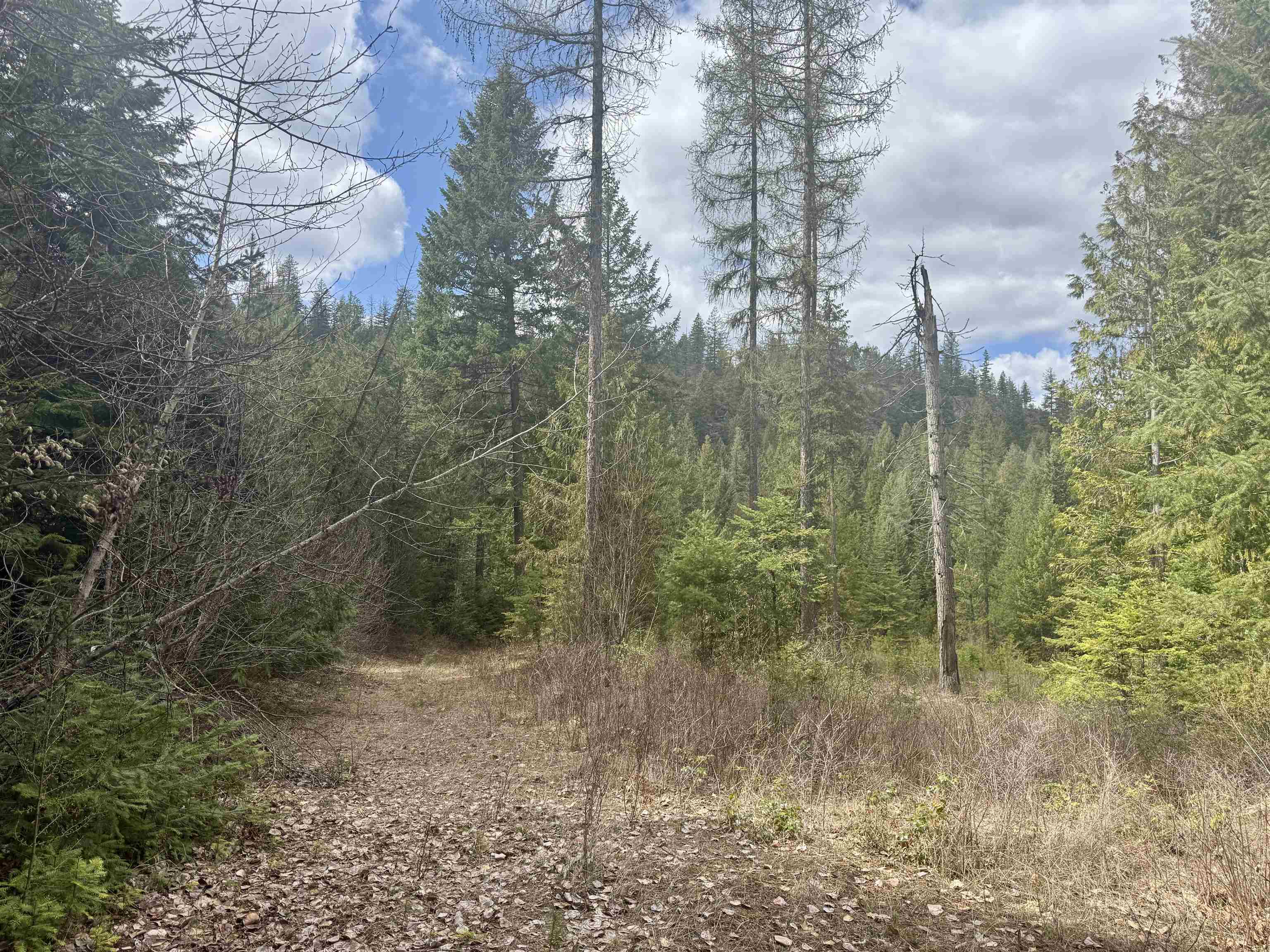 3706 k Waitts Lake Rd - Photo 14