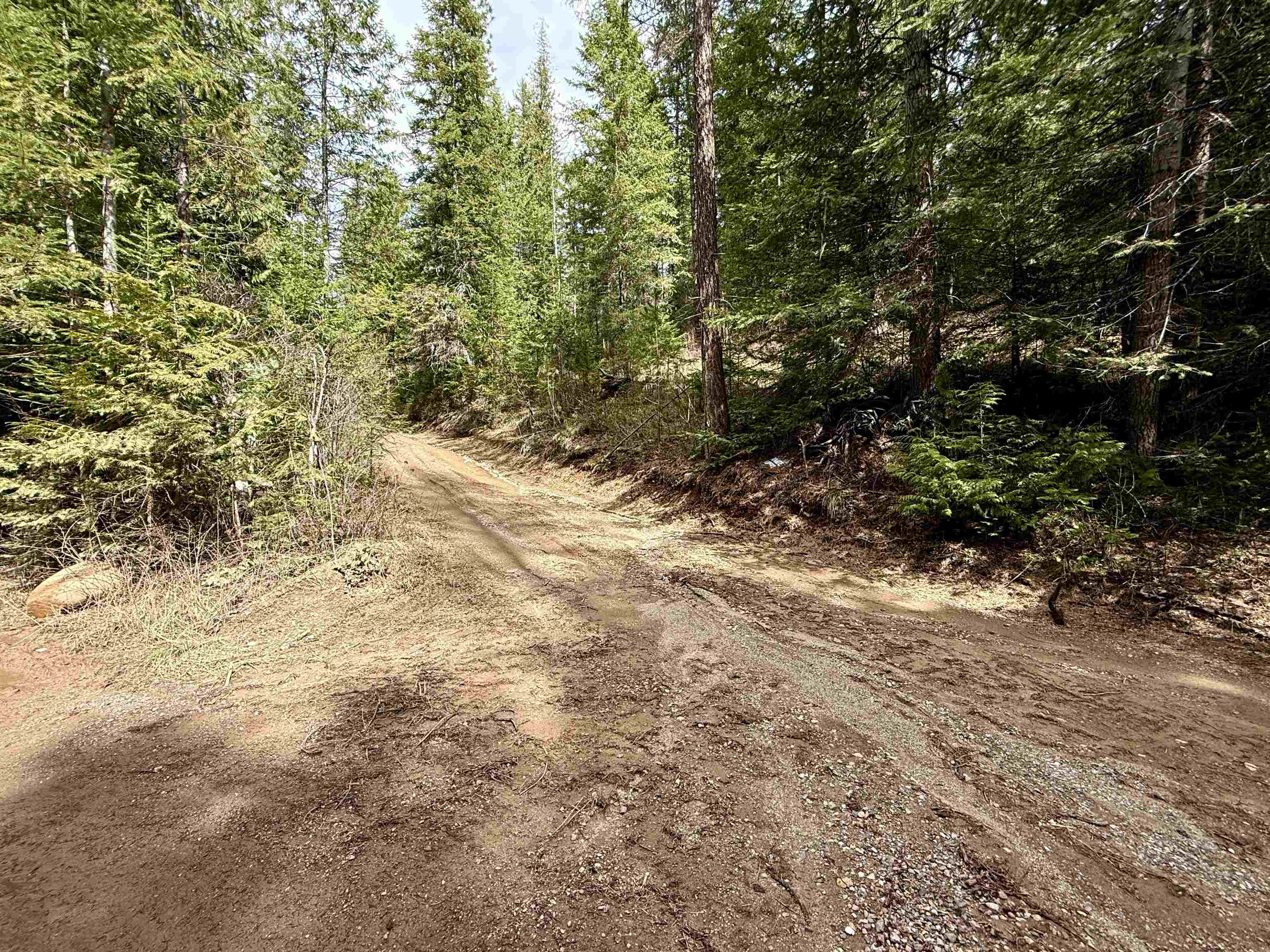 3706 k Waitts Lake Rd - Photo 5