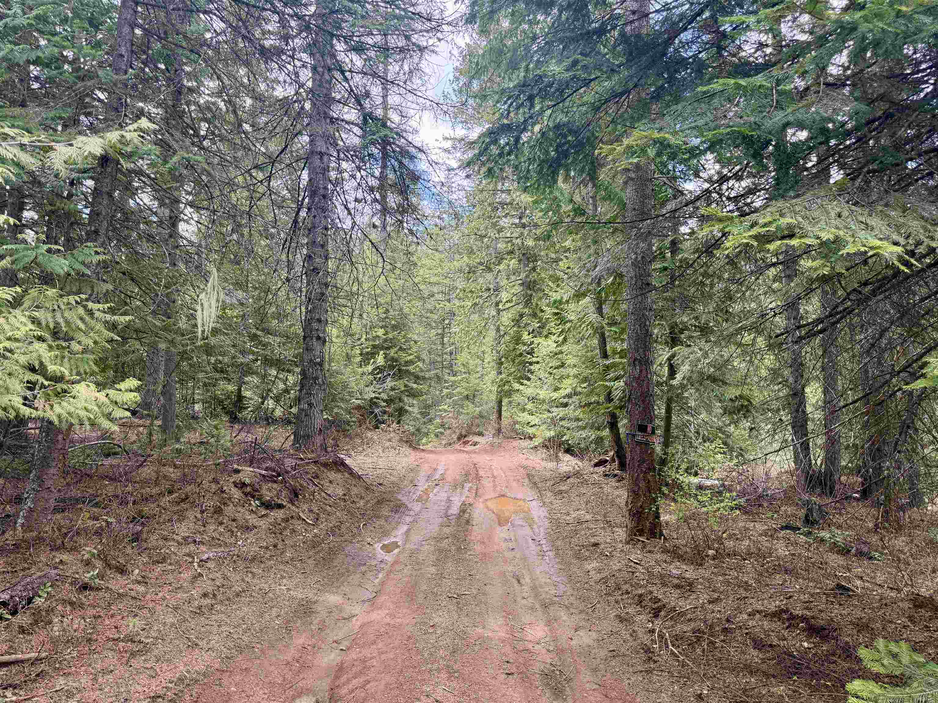 3706 k Waitts Lake Rd - Photo 6
