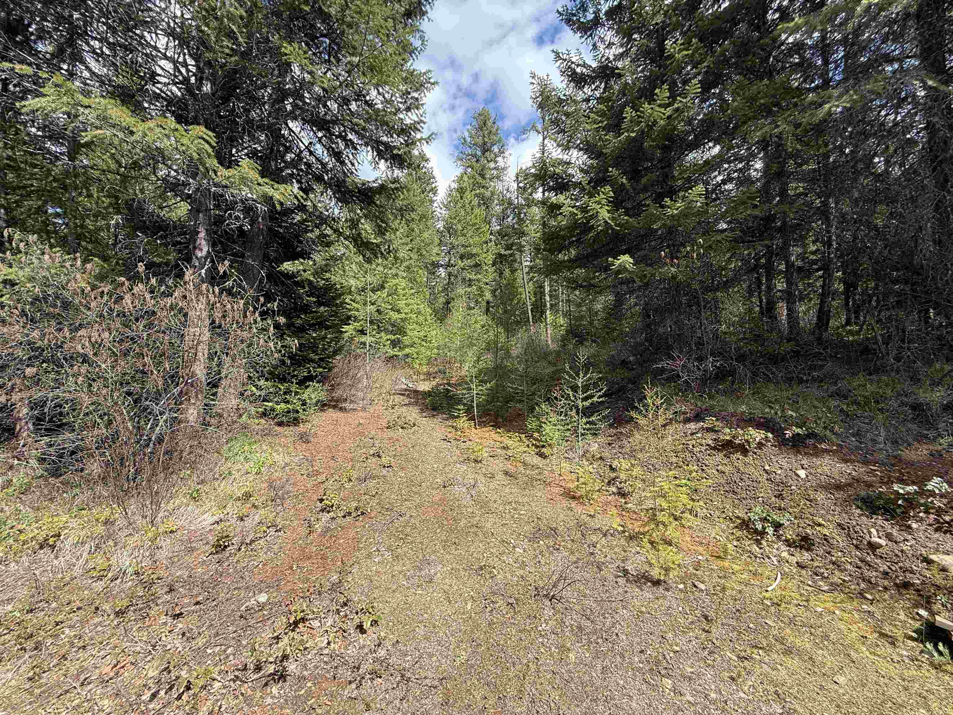 3706 k Waitts Lake Rd - Photo 7